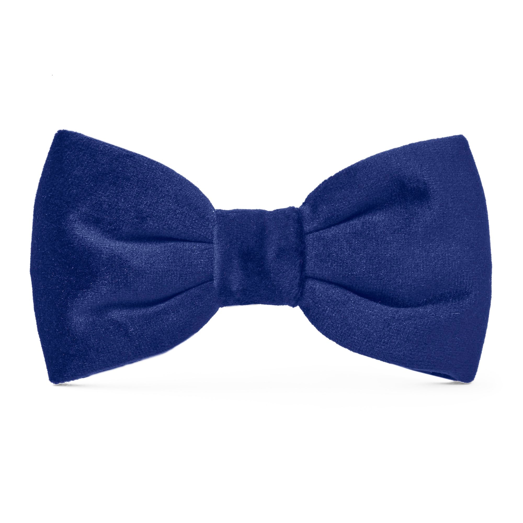 Dog and Cat Bowtie: Navy Velvet