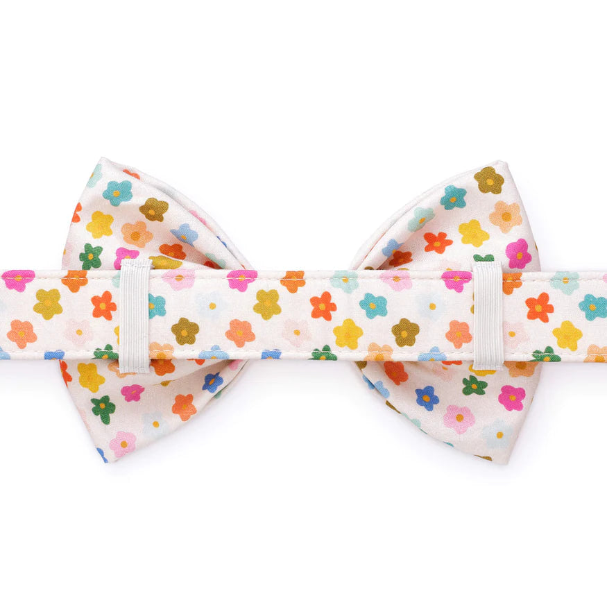 Dog and Cat Bowtie: Rainbow Flower