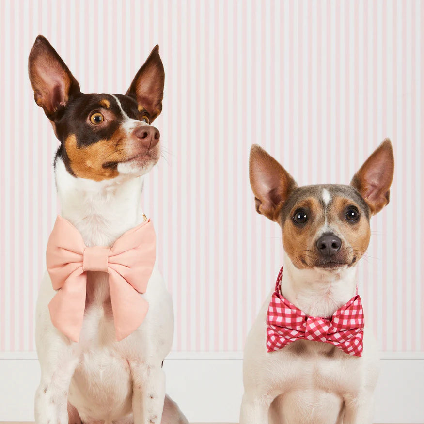 Dog and Cat Bowtie: Raspberry Gingham