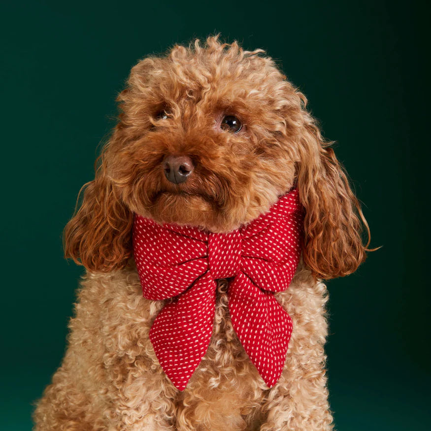 Dog and Cat Lady Bowtie: Berry Stitch Flannel