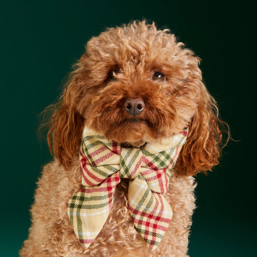 Dog and Cat Lady Bowtie: Eggnog Plaid Flannel