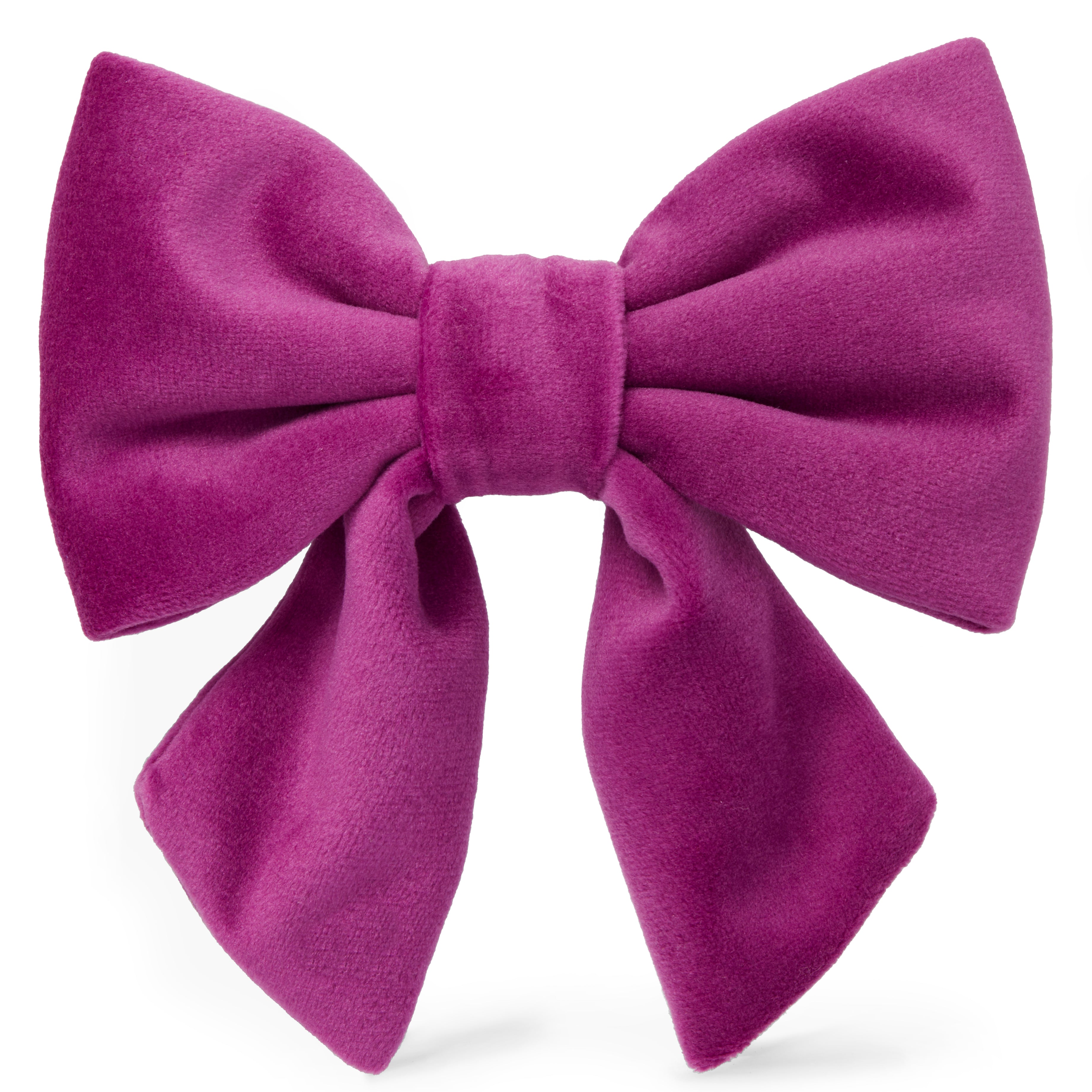 Dog and Cat Lady Bowtie: Plum Velvet