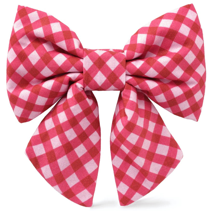 Dog and Cat Lady Bowtie: Raspberry Gingham
