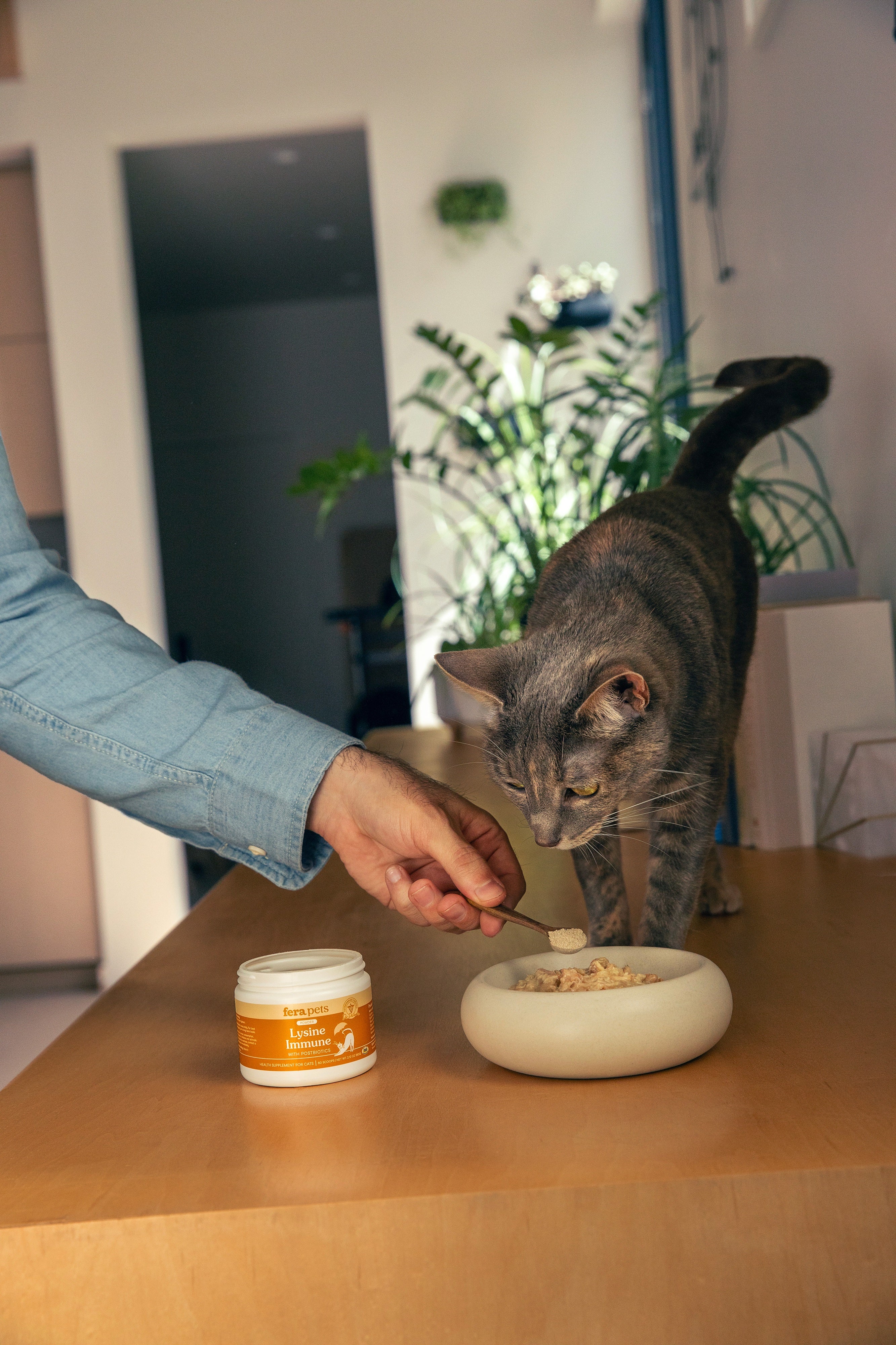 Fera Pet Organics Cat L-Lysine | Immune & Respiratory Support