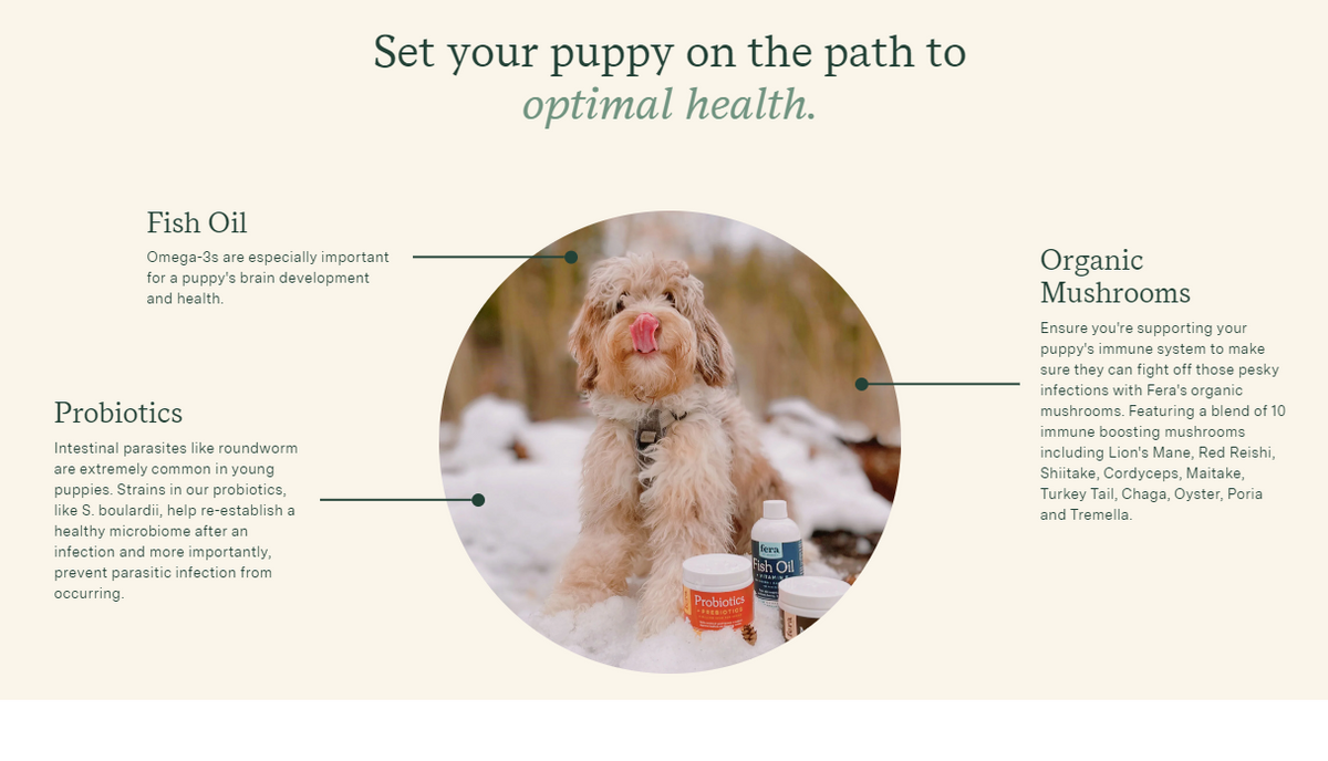 Fera Pet Organics Dog and Cat Supplement, Puppy Starter Kit