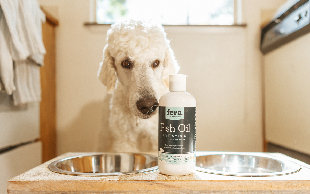 Fera Pet Organics Dog and Cat Supplement, Immunity Boost Bundle