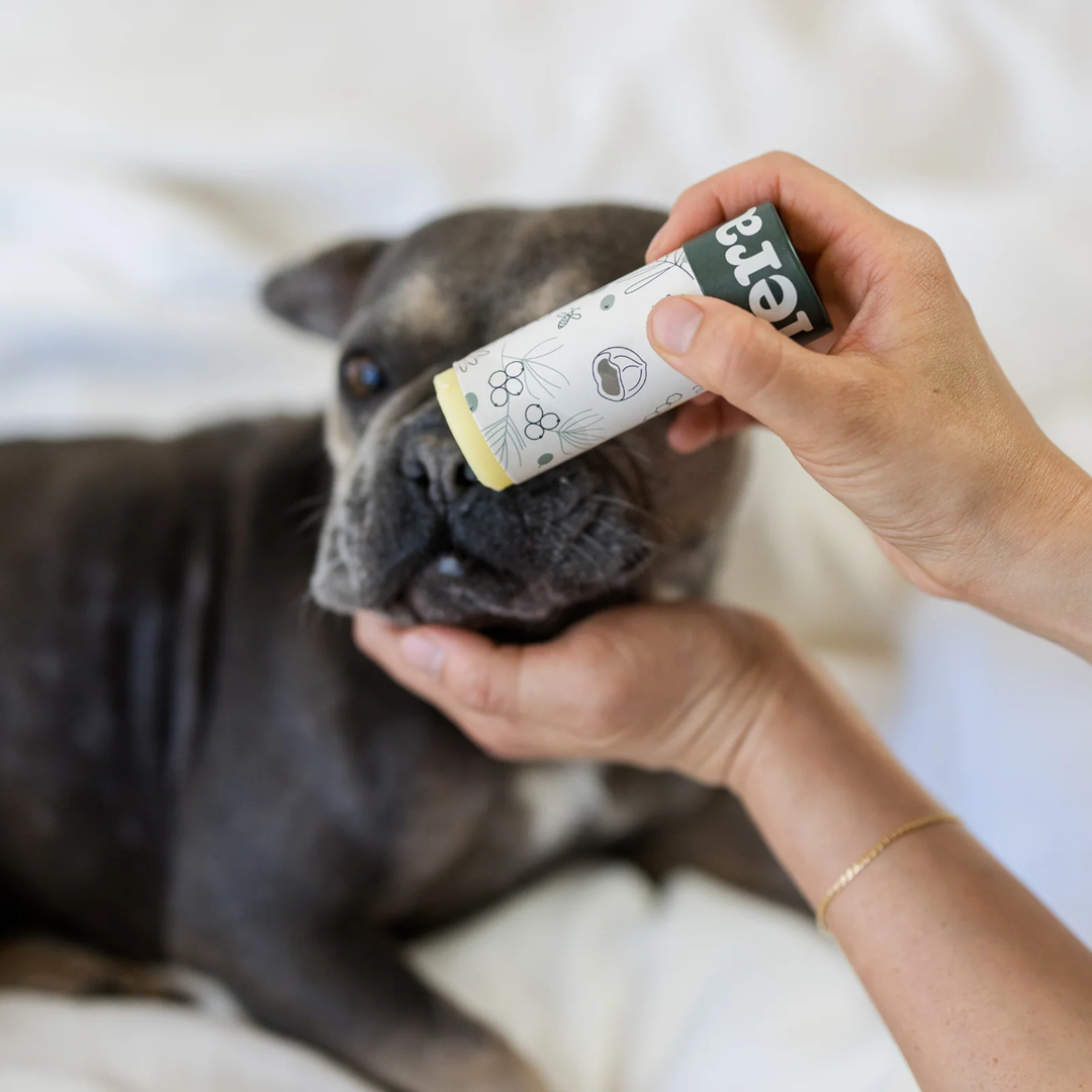 Fera Pet USDA Organic PawBiome Balm for Dogs & Cats | Skin & Paw Care