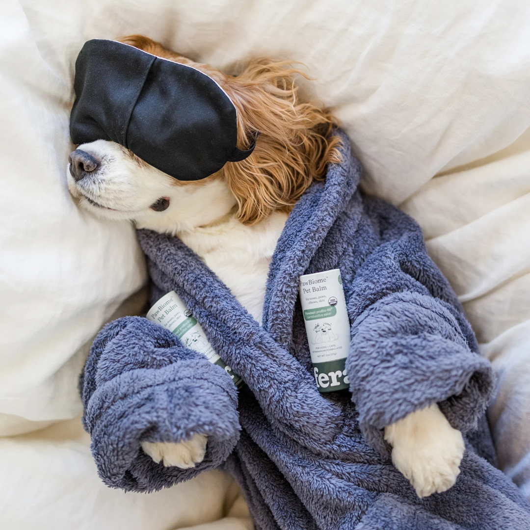 Fera Pet USDA Organic PawBiome Balm for Dogs & Cats | Skin & Paw Care