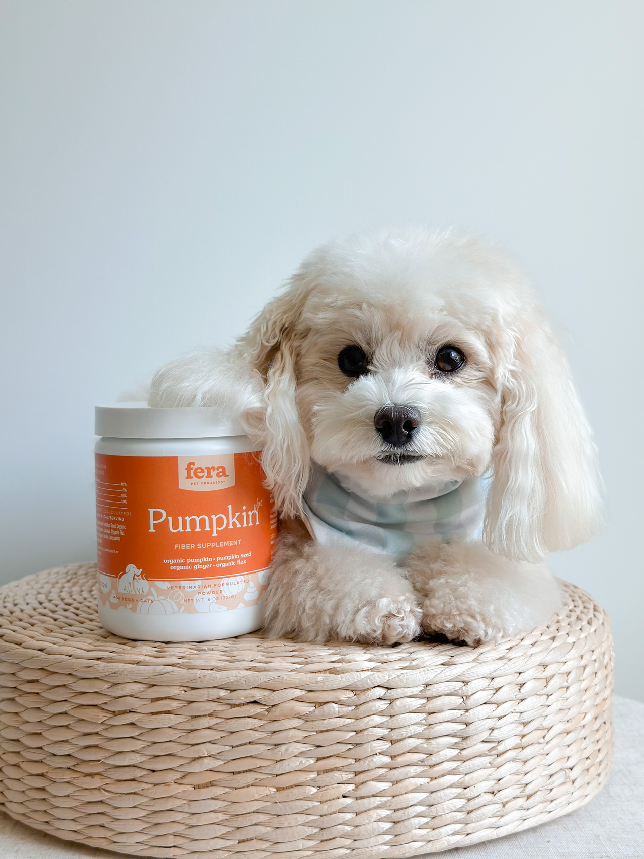 Fera Pet Organics Pumpkin Plus | Dog & Cat Fiber Supplement