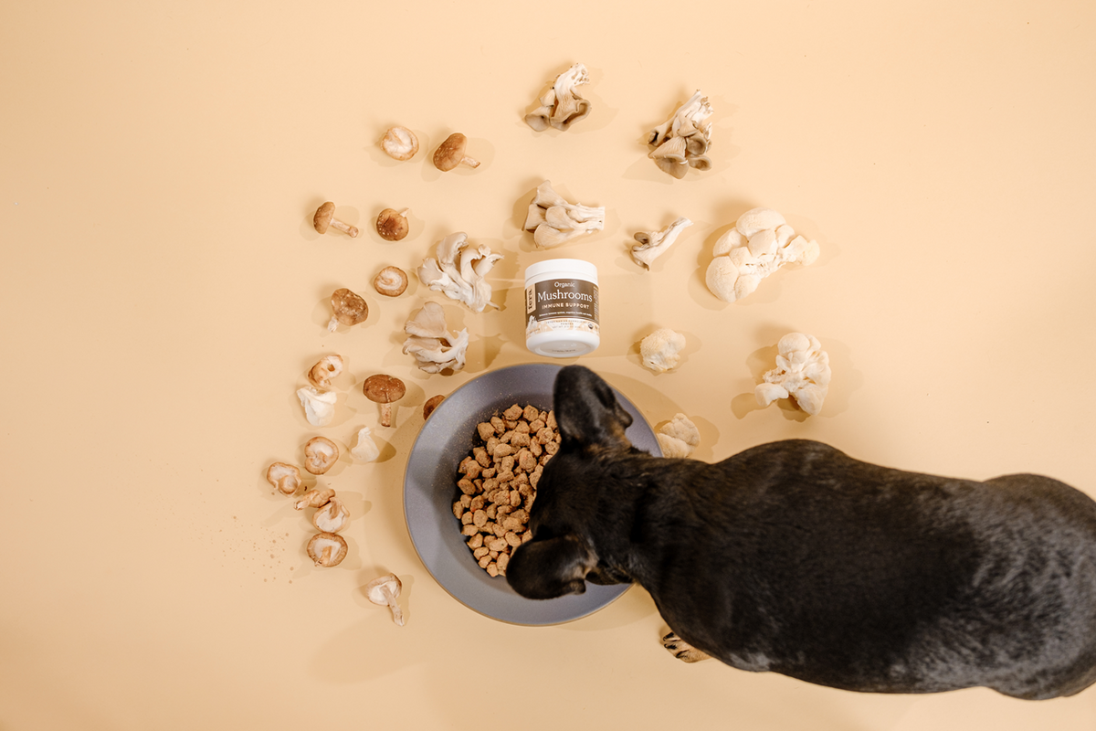 Fera Pet Organics Dog and Cat Supplement, USDA Organic Mushroom Blend for Immune Support