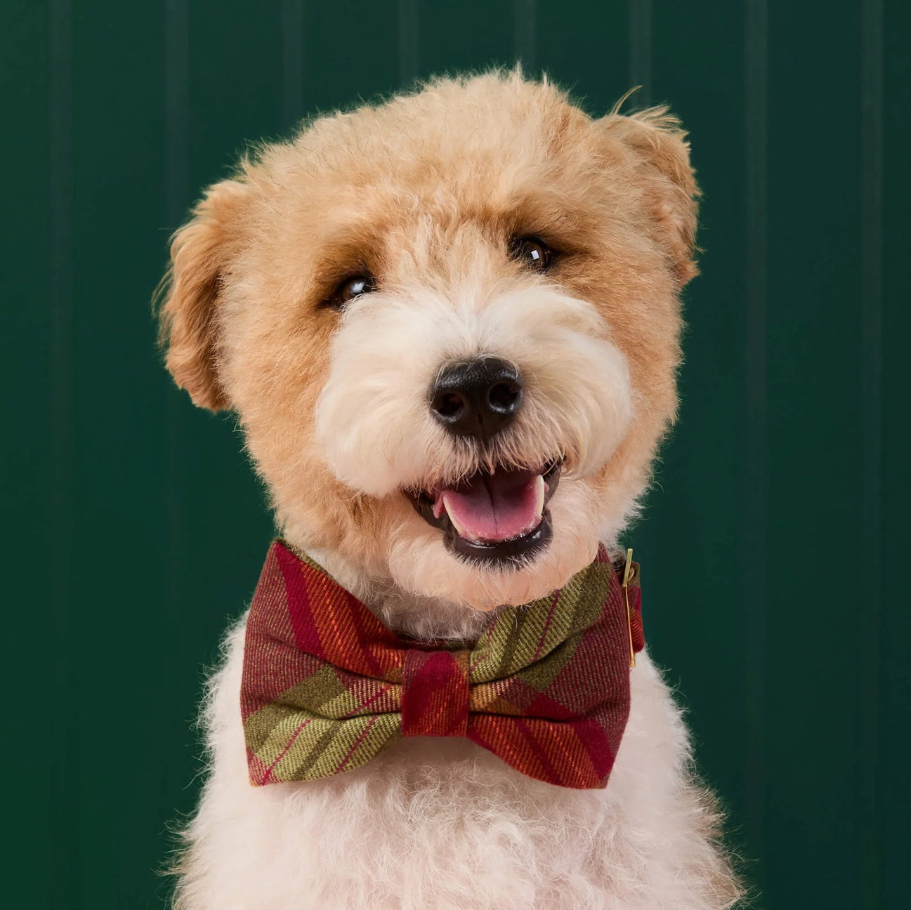 Dog and Cat Bowtie: Orchard Plaid Flannel