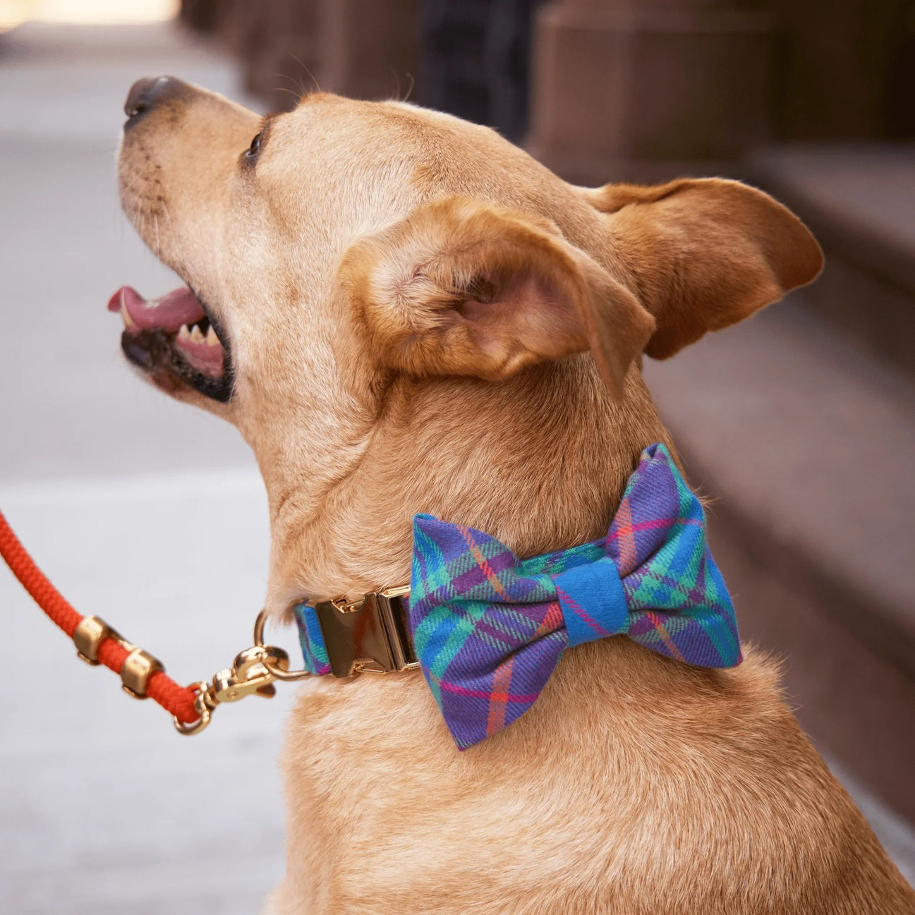 Dog and Cat Bowtie: Piper Plaid Flannel