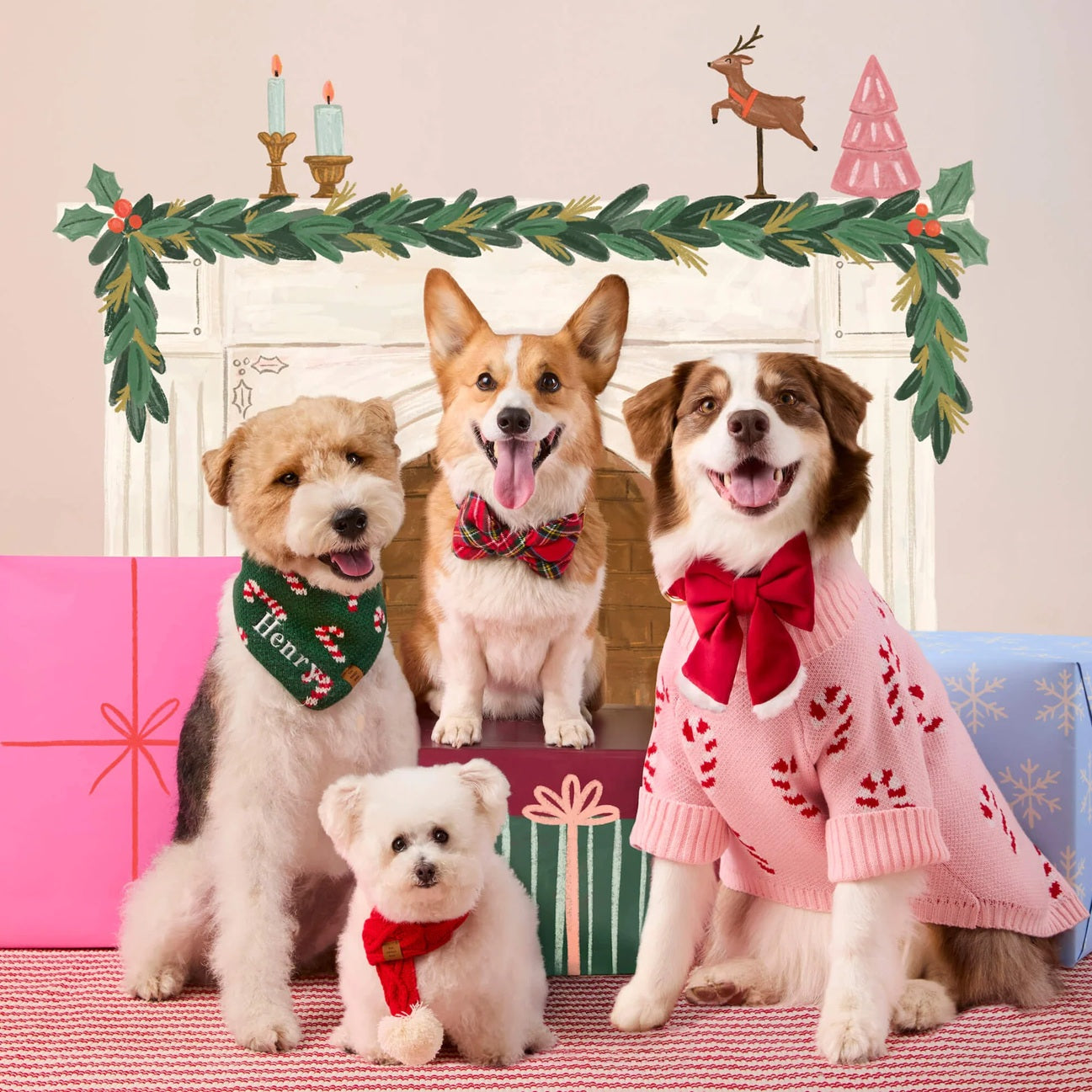 Dog and Cat Knit Scarf: Red Cable