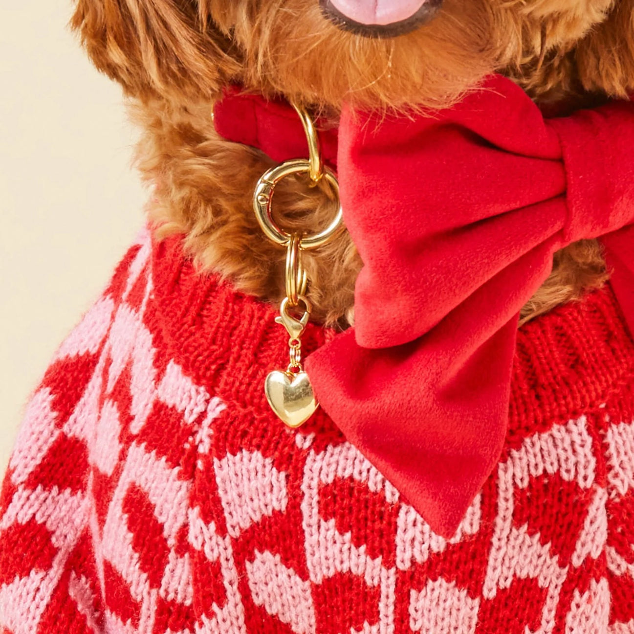 Dog Collar Charm: Heart of Gold