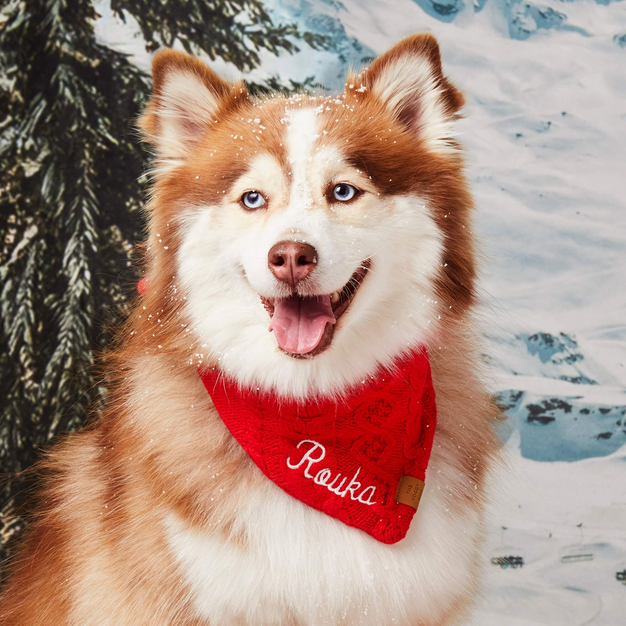 Dog and Cat Knit Bandana: Cable