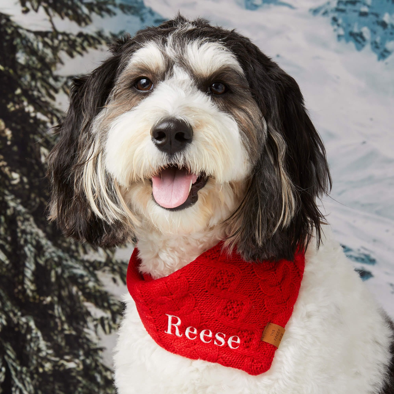 Dog and Cat Knit Bandana: Cable