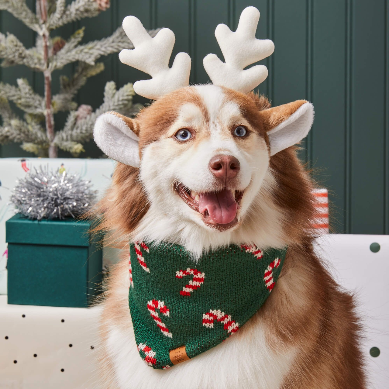 Dog and Cat Knit Bandana: Candy Canes