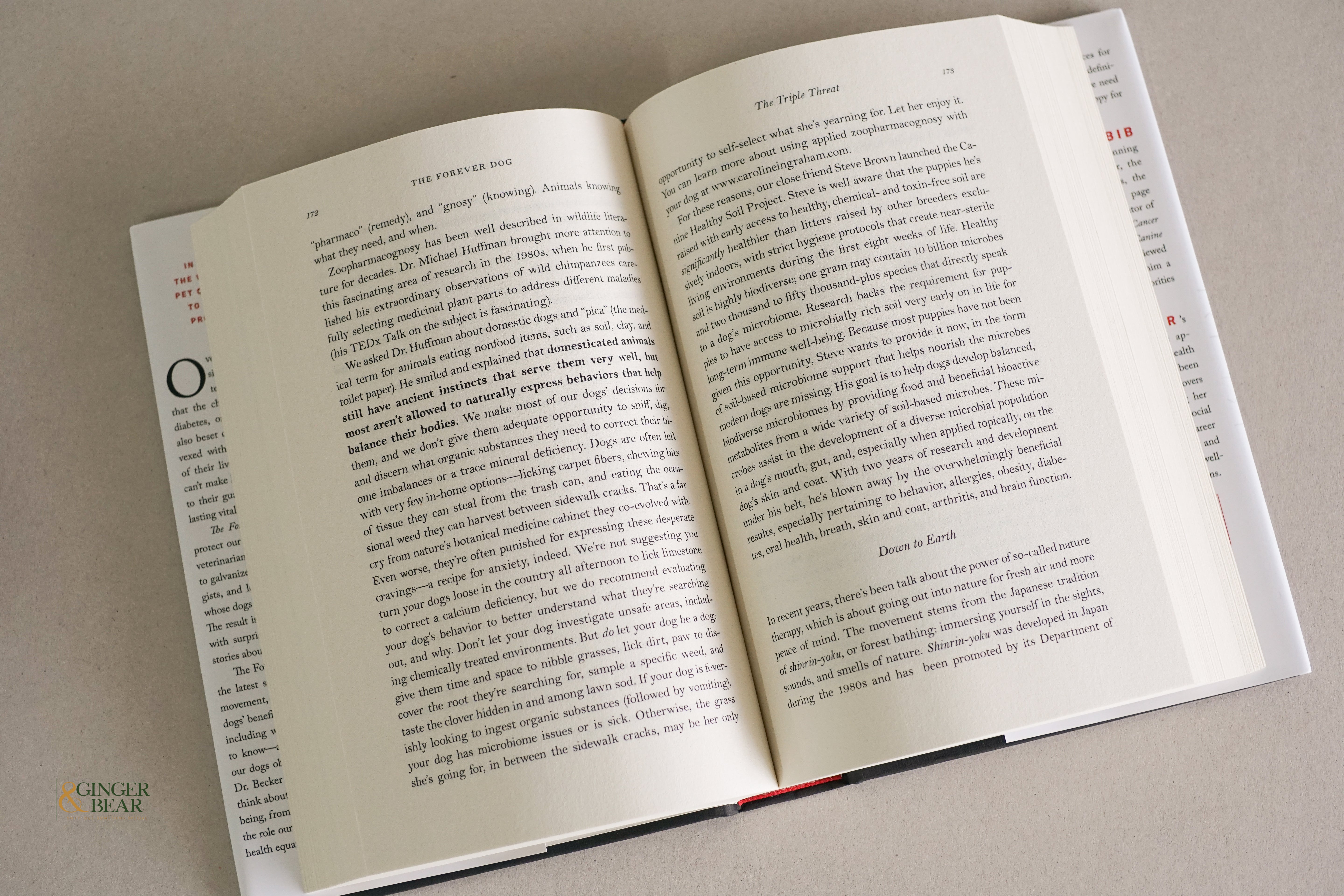 Book: The Forever Dog — Surprising New Science to Help Your Dog Live Younger, Healthier & Longer (Hardcover, 2021)