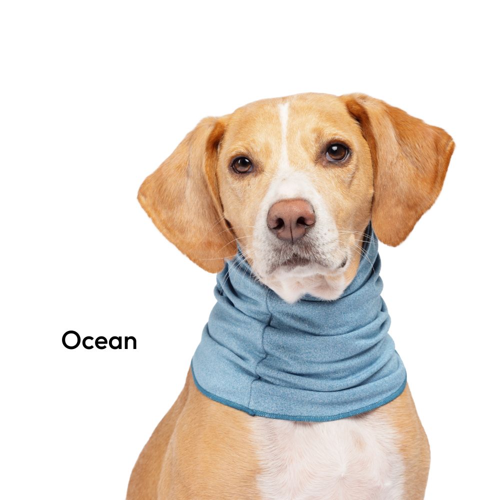 Sun Shield Snood for Dogs and Cats
