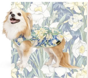 Sun Shield Tee shirts for Dogs and Cats, Daffodils