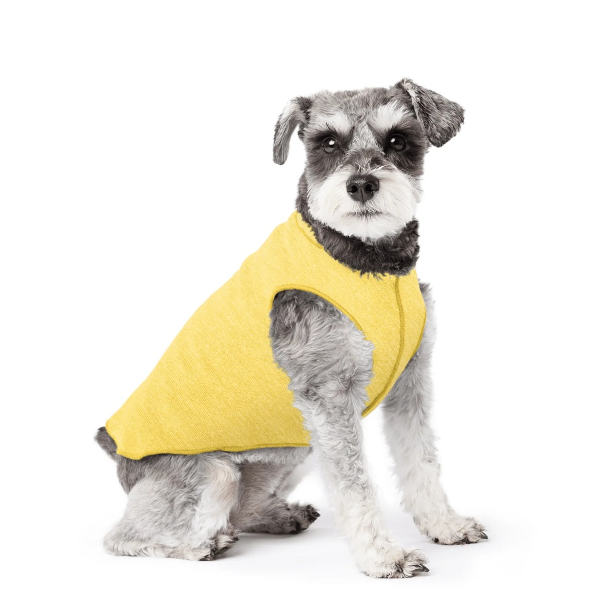 Sun Shield Tee shirts for Dogs and Cats, in Butter