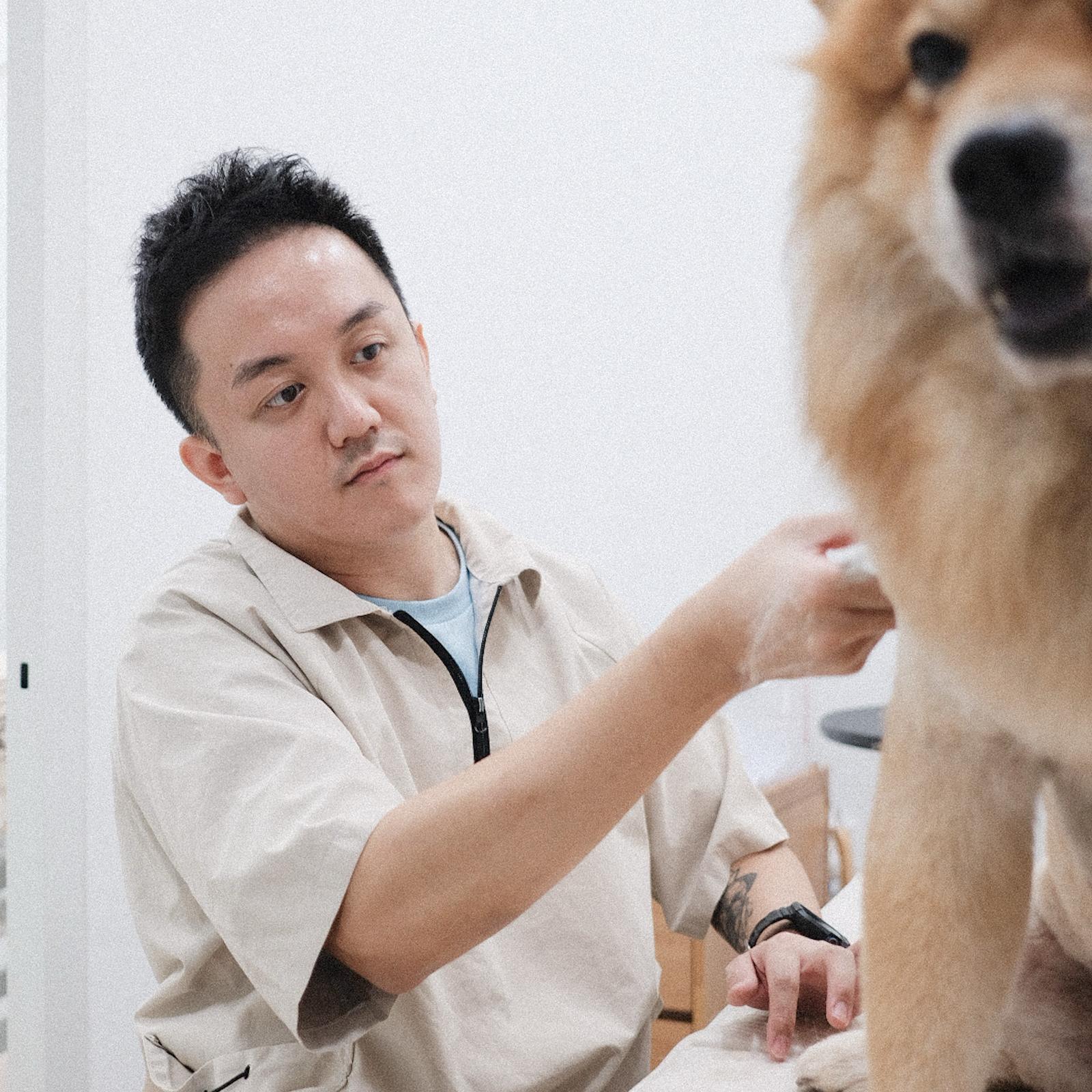 Workshop: Creating Low-Stress Grooming experiences for your dog/cat
