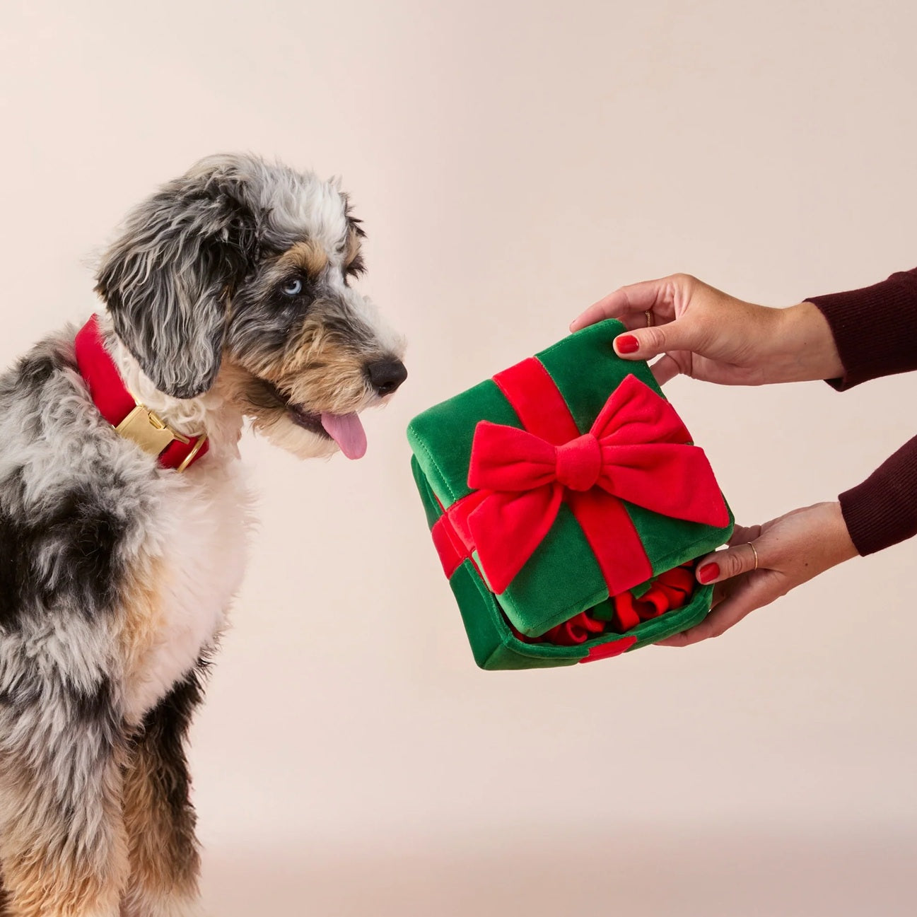 Holiday Squeaky Plush Interactive Snuffle Dog toys, Holiday Present