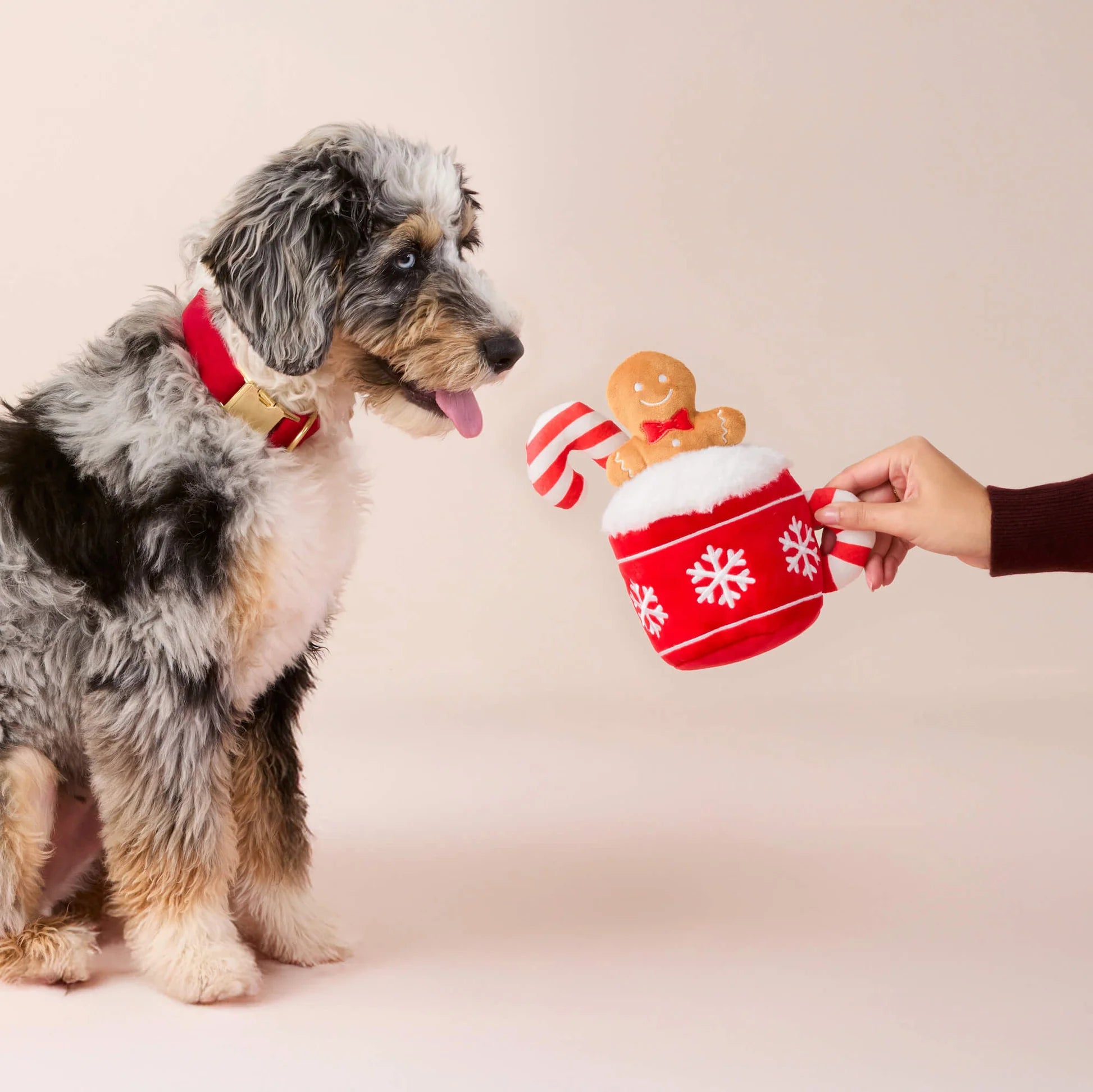 Holiday Squeaky Plush Interactive Snuffle Dog toys, Hot Cocoa