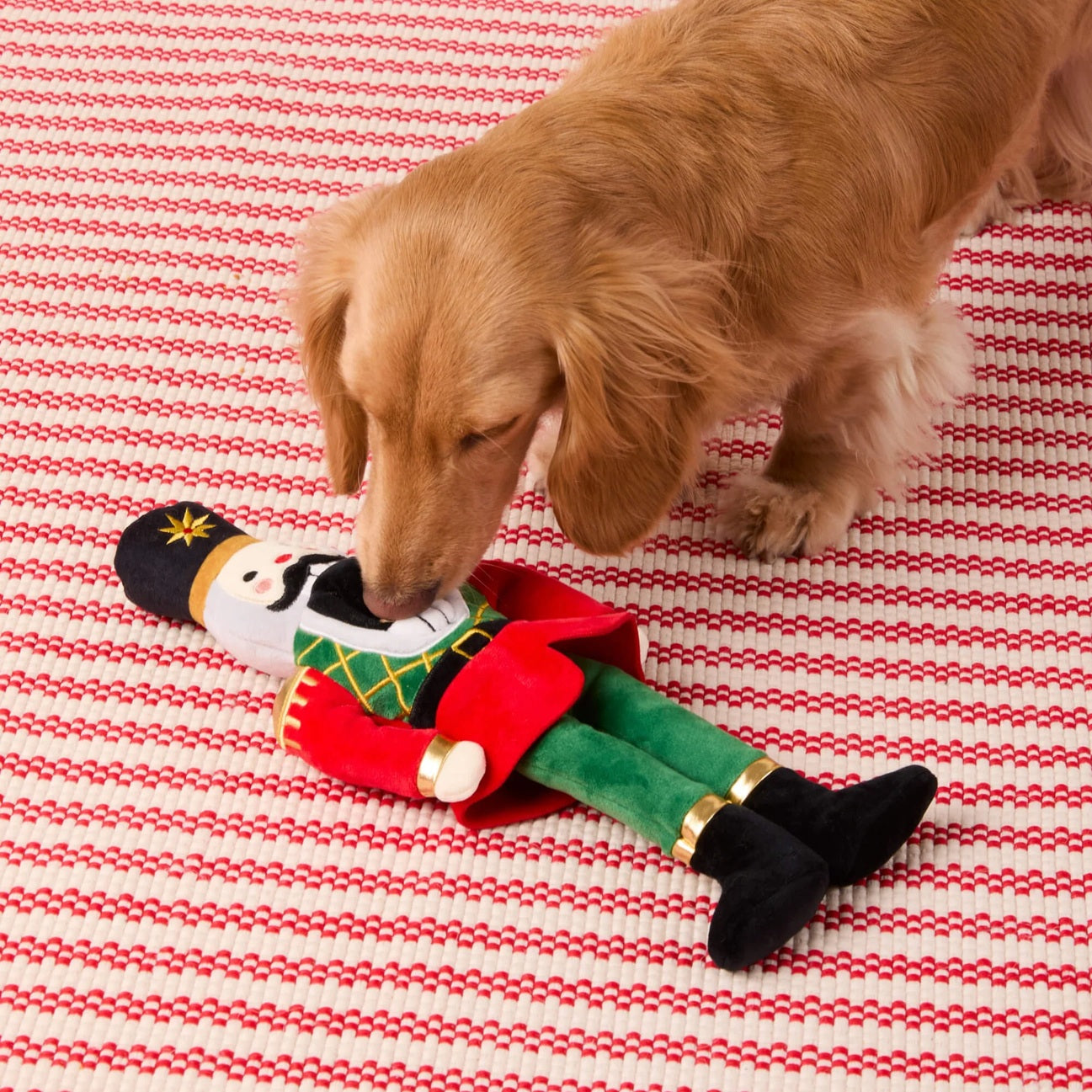 Holiday Squeaky Plush Interactive Snuffle Dog toys, Nutcracker