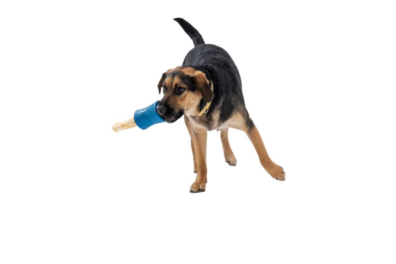 Interactive puzzle, food-dispensing dog toy, Seaflex Funnl: Marine