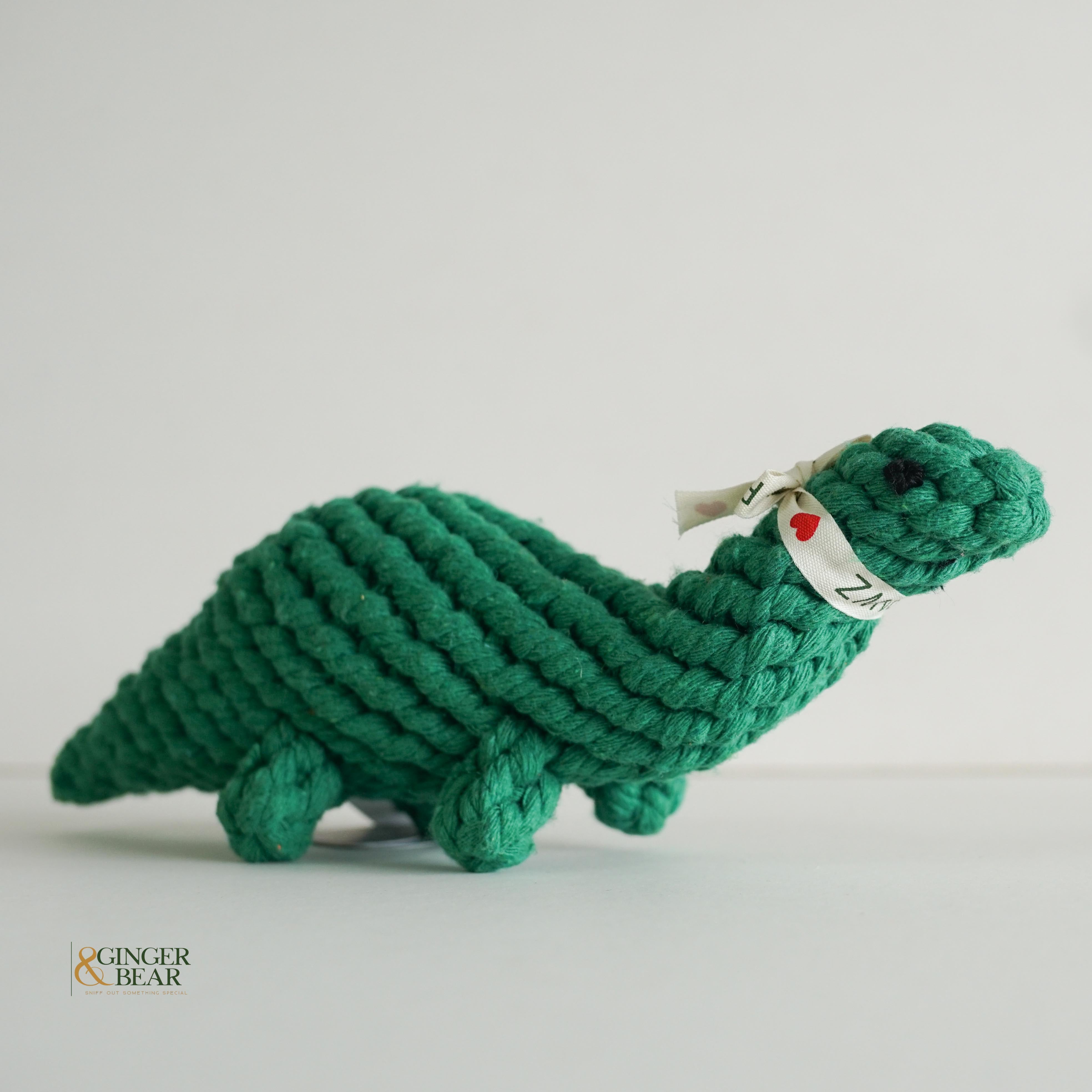Knotty Interactive Upcycled Cotton Rope Dog Toy, Rex the Green Dinosaur