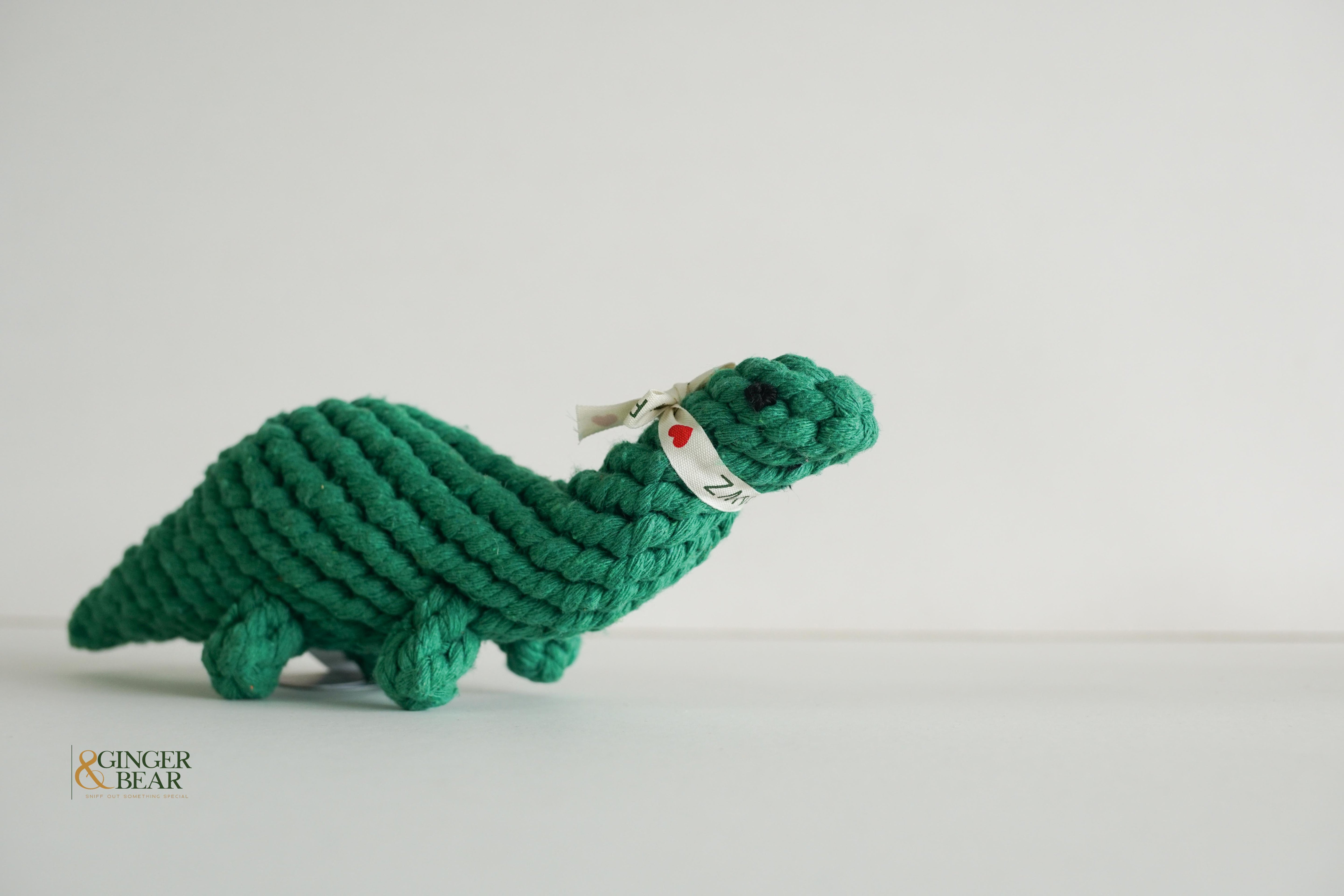 Knotty Interactive Upcycled Cotton Rope Dog Toy, Rex the Green Dinosaur