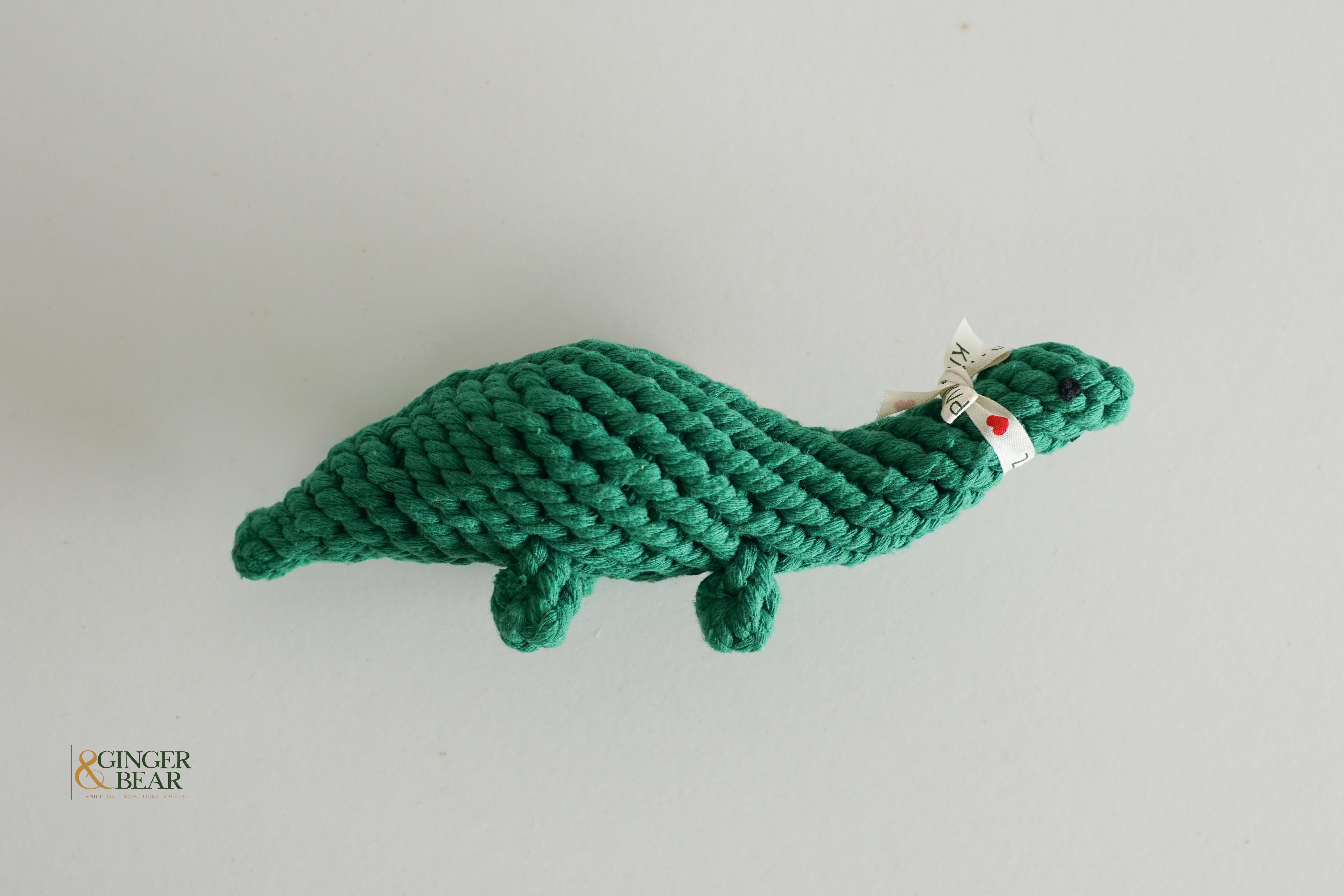 Knotty Interactive Upcycled Cotton Rope Dog Toy, Rex the Green Dinosaur