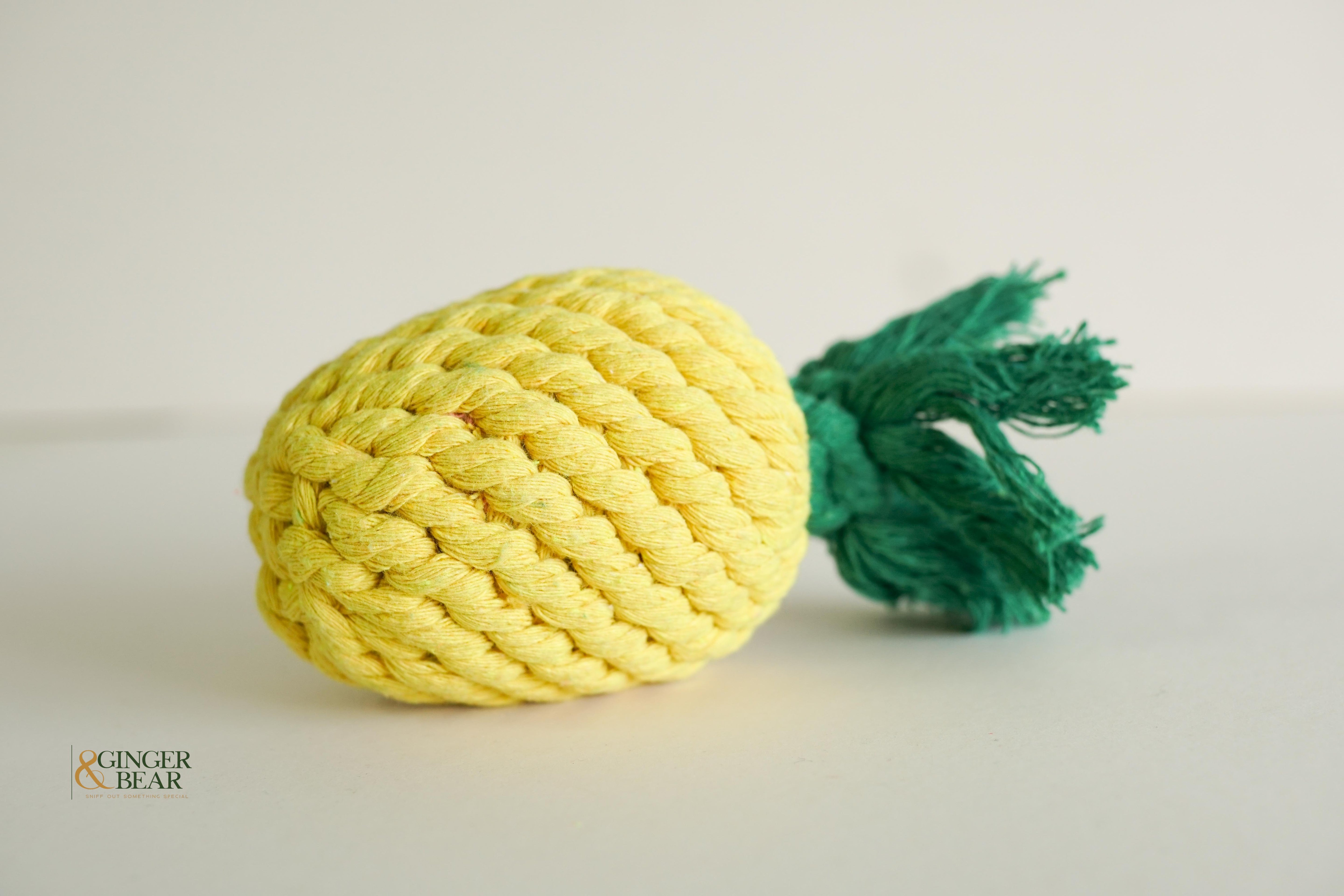 Knotty Interactive Upcycled Cotton Rope Dog Toy, Pineapple