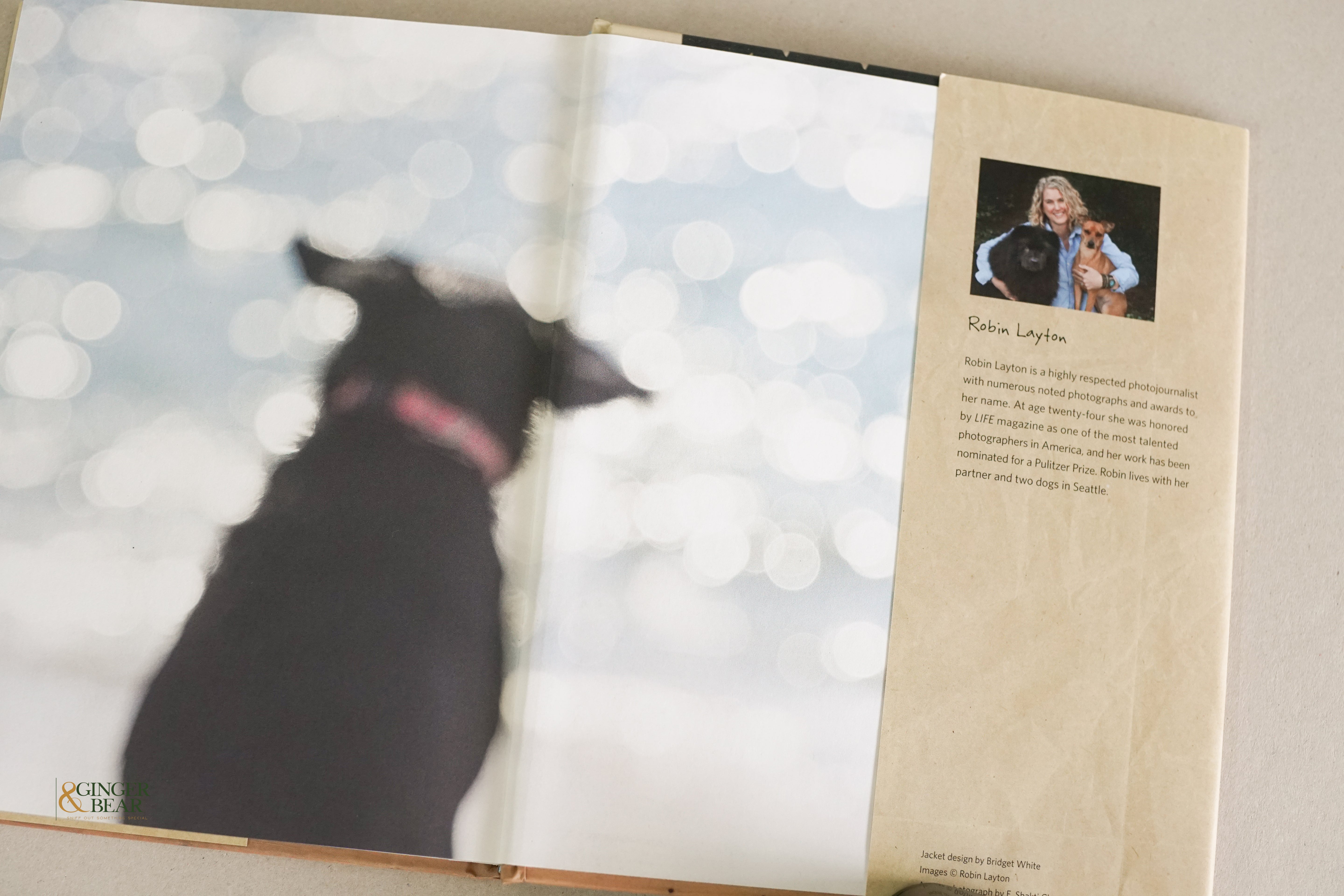 Book: A Letter to My Dog — Notes to Our Best Friends (Hardcover, 2012)