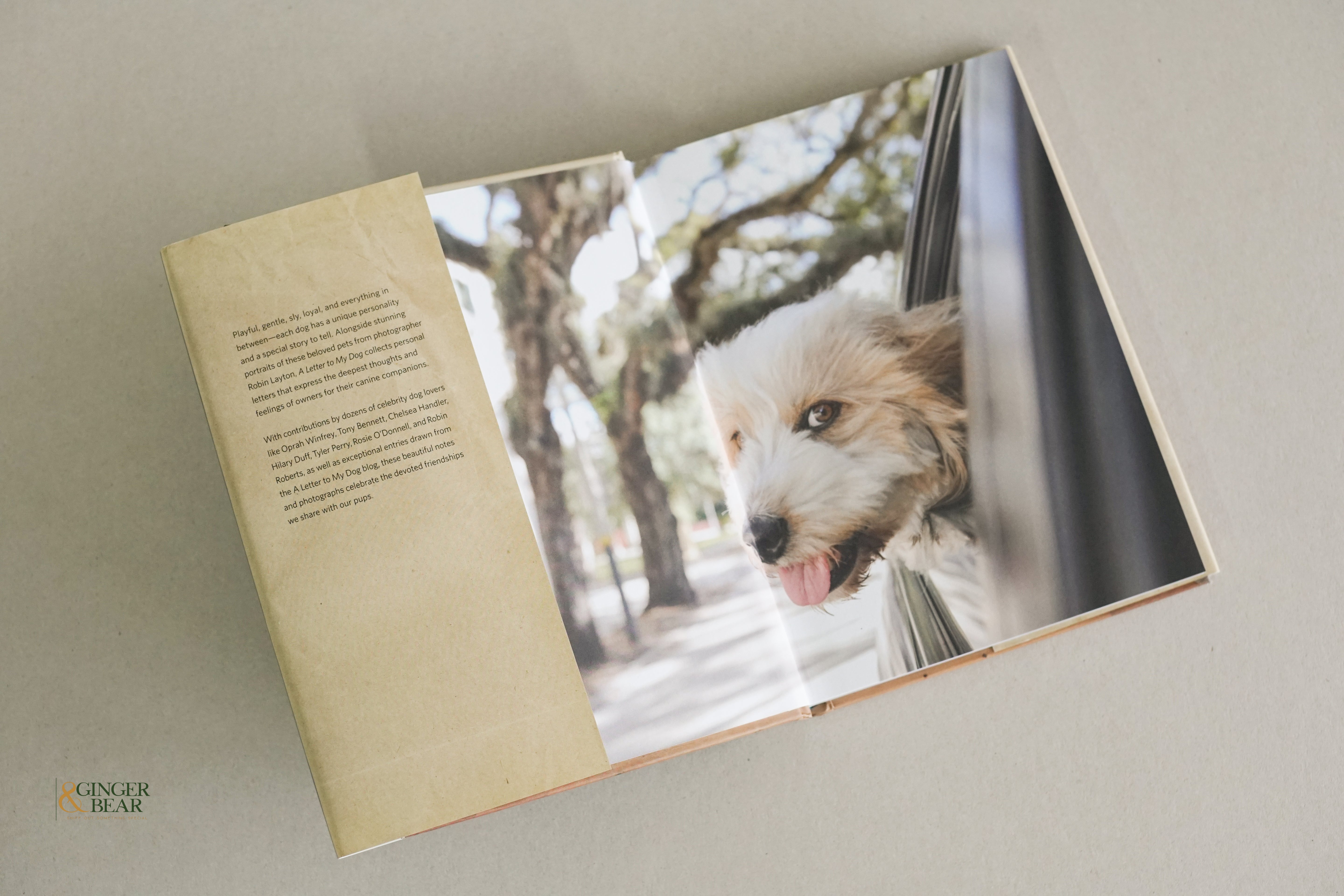 Book: A Letter to My Dog — Notes to Our Best Friends (Hardcover, 2012)