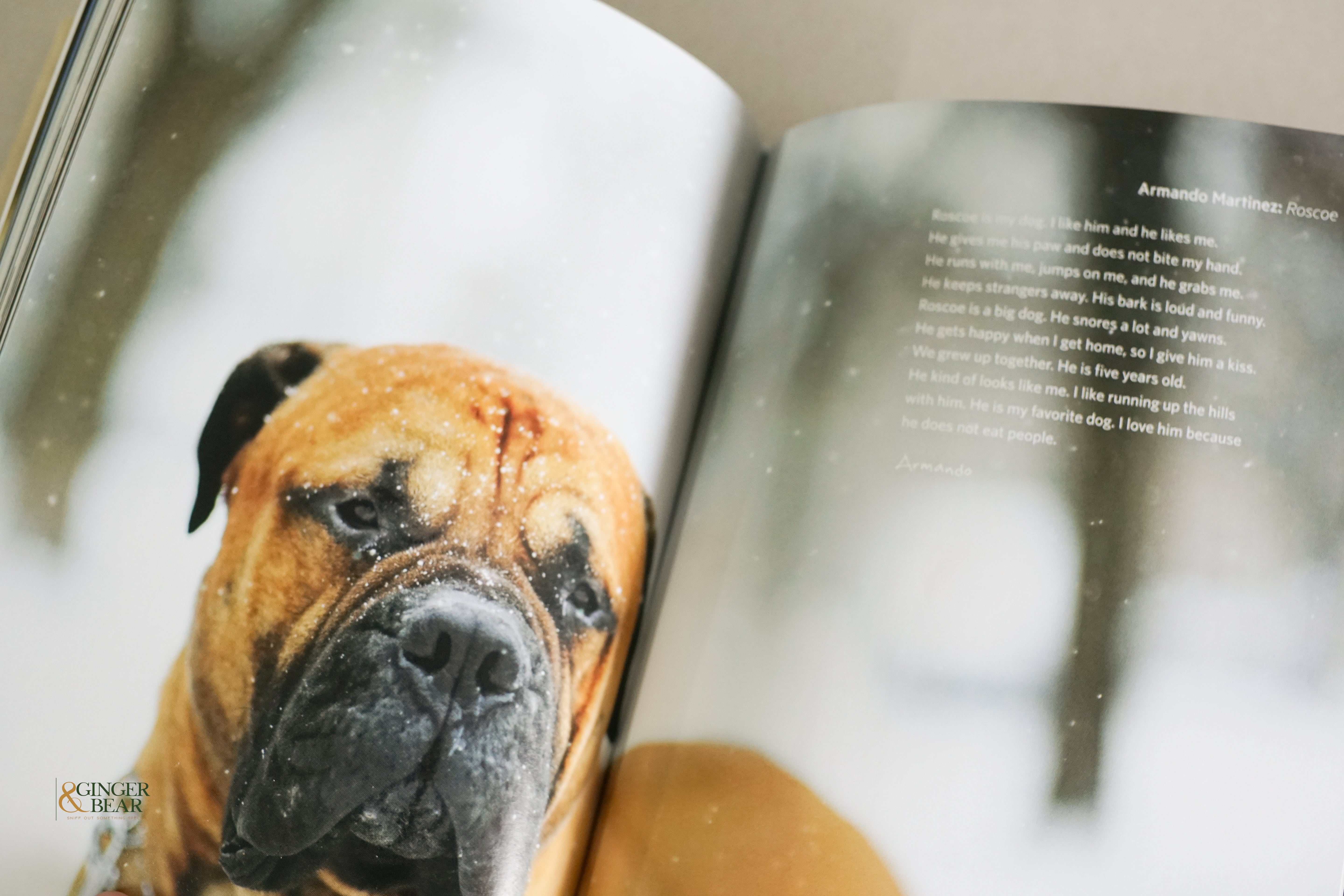 Book: A Letter to My Dog — Notes to Our Best Friends (Hardcover, 2012)