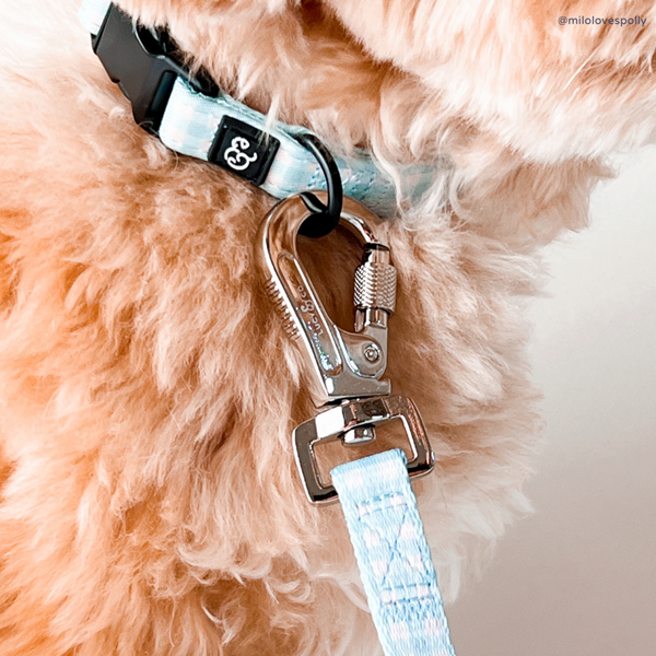 Lucy&Co Dog Collar: Hippity Hoppity