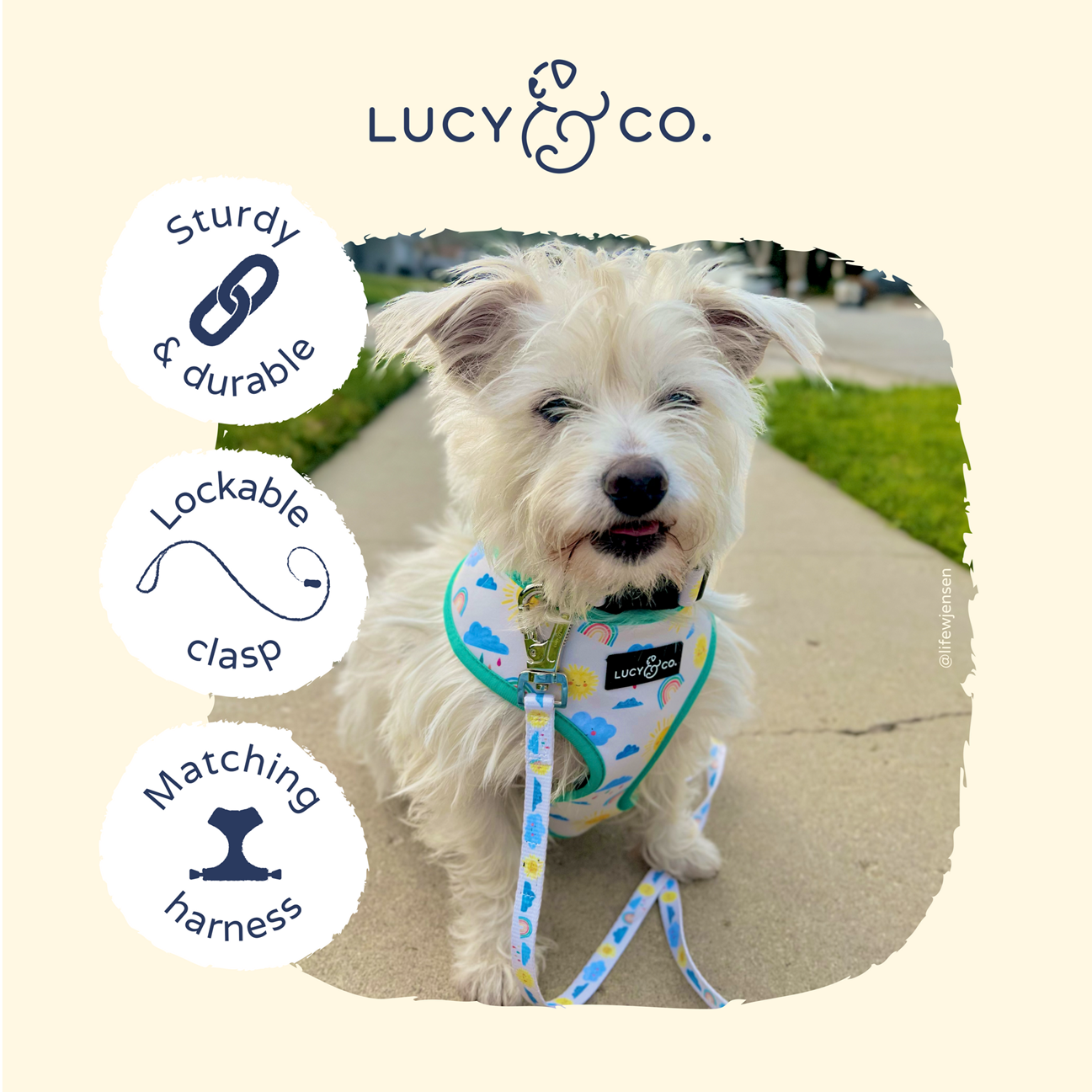 Lucy&Co Dog Leash: Among the Wildflowers