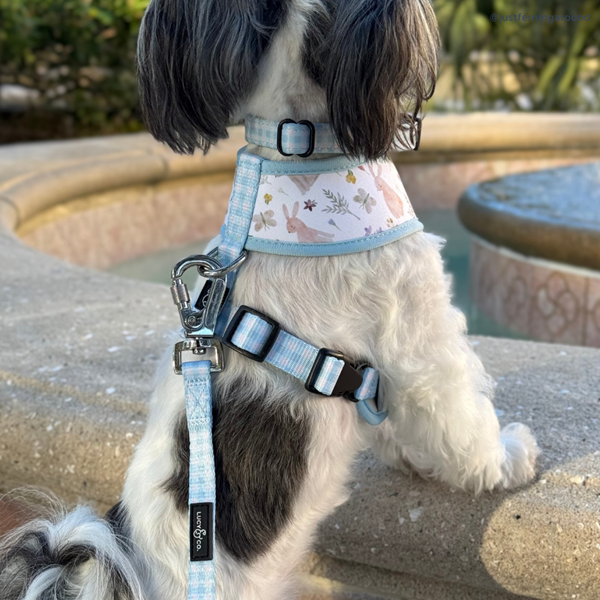 Lucy&Co Dog Leash: Hippity Hoppity