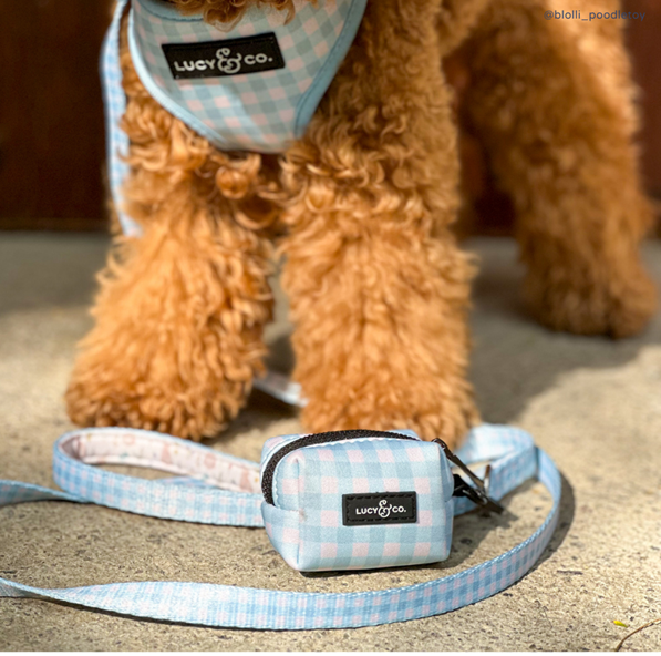 Lucy&Co Dog Leash: Hippity Hoppity