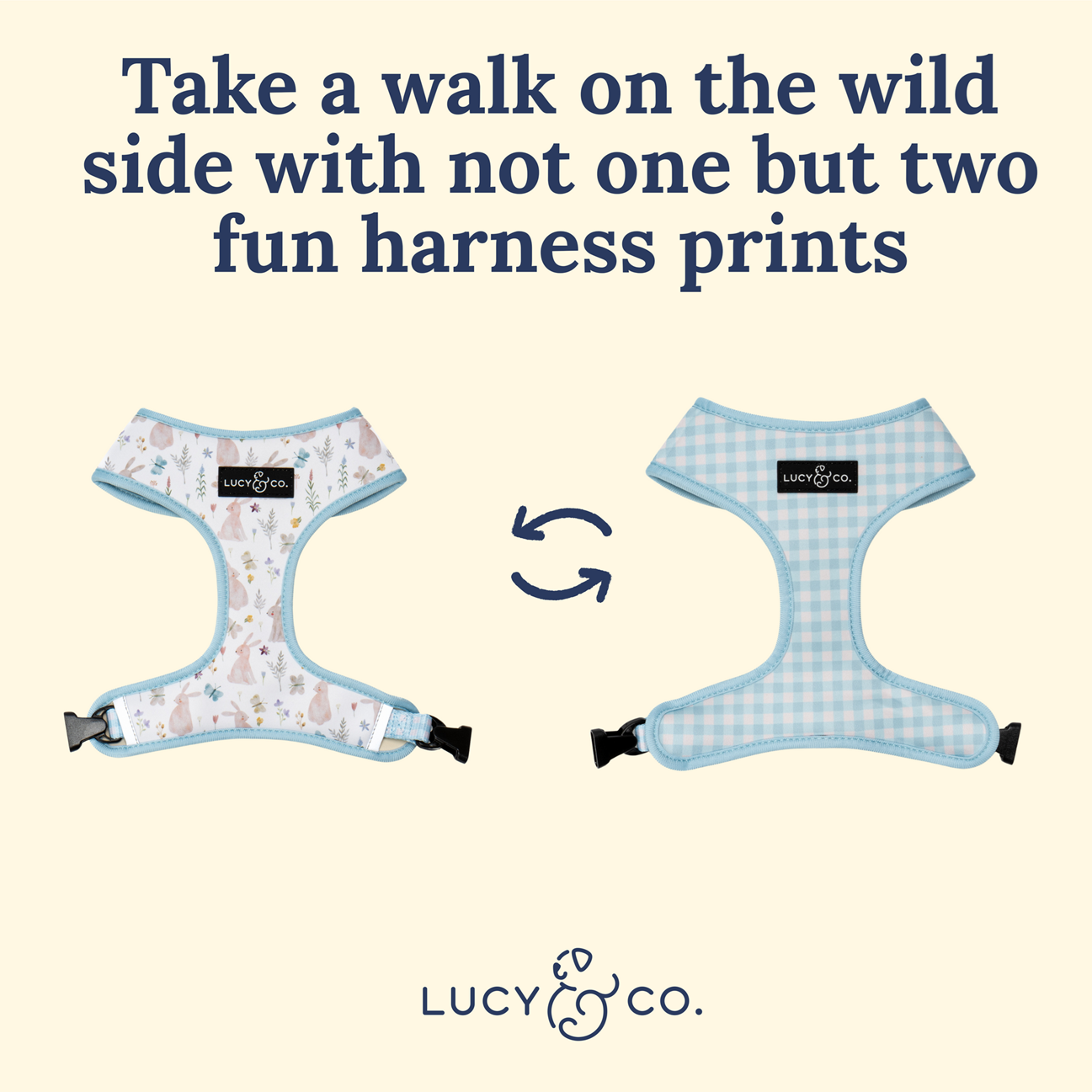 Lucy&Co Reversible Dog Harness: Hippity Hoppity