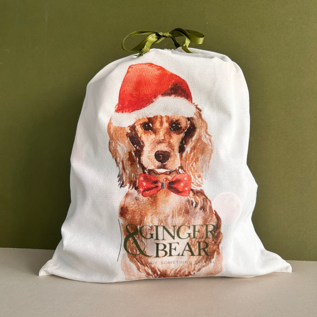 Mystery Santa Sack of Dog Toys