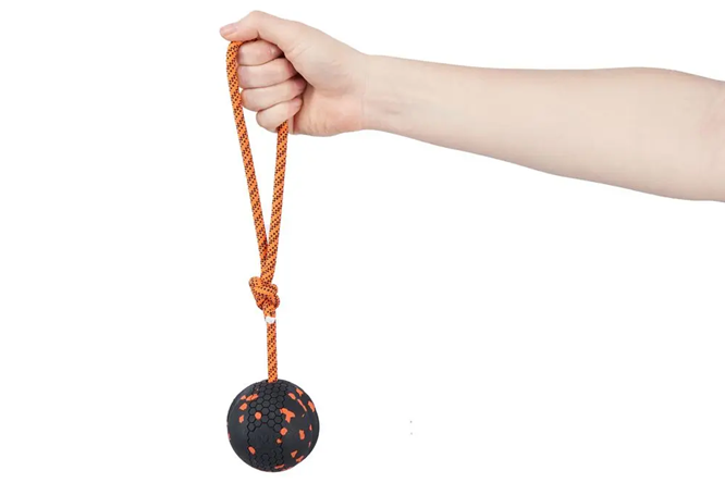 Non-Stop Dog Wear: Dog Toy, Ball on Rope