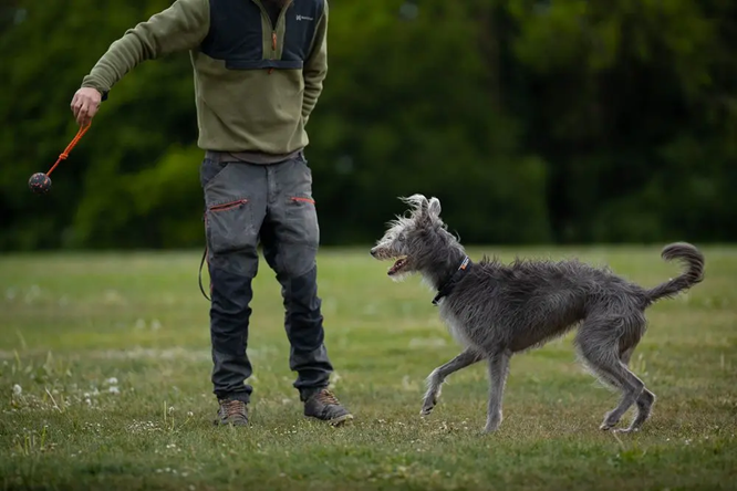 Non-Stop Dog Wear: Dog Toy, Ball on Rope