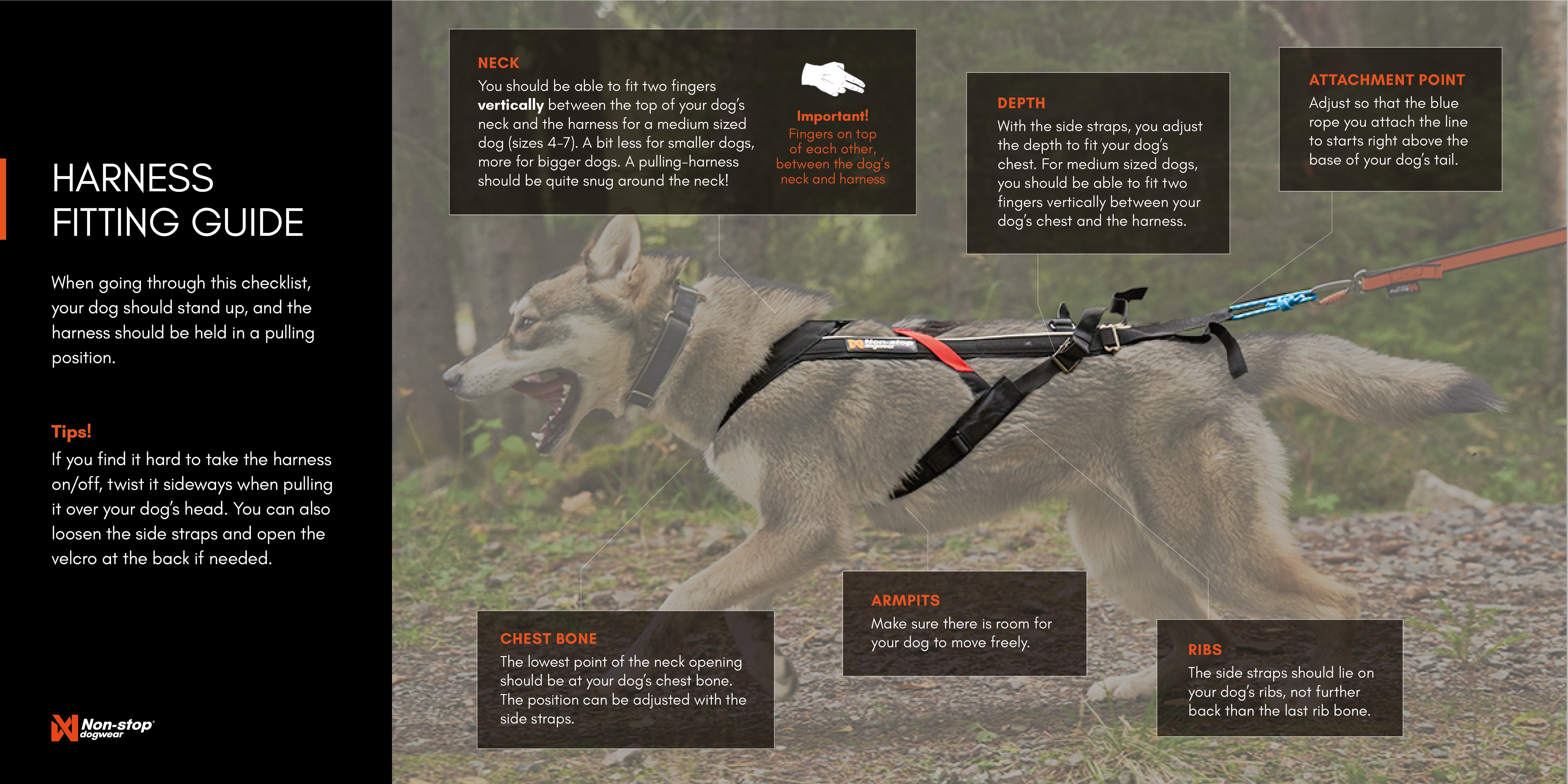 Non-Stop Dog Wear: Freemotion Harness