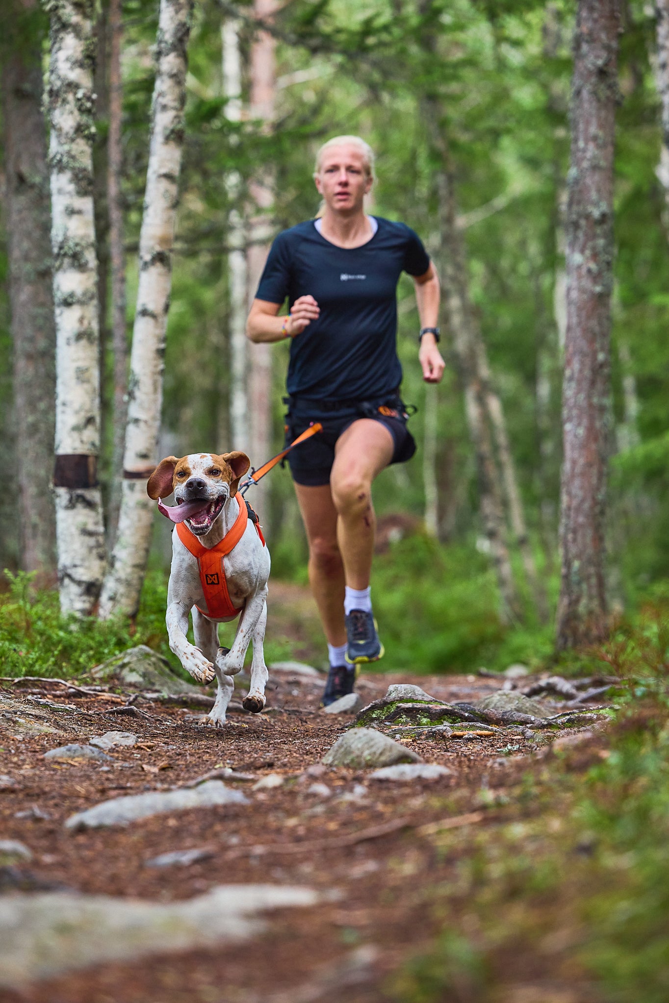 Non-Stop Dog Wear: Freemotion Harness 5.0