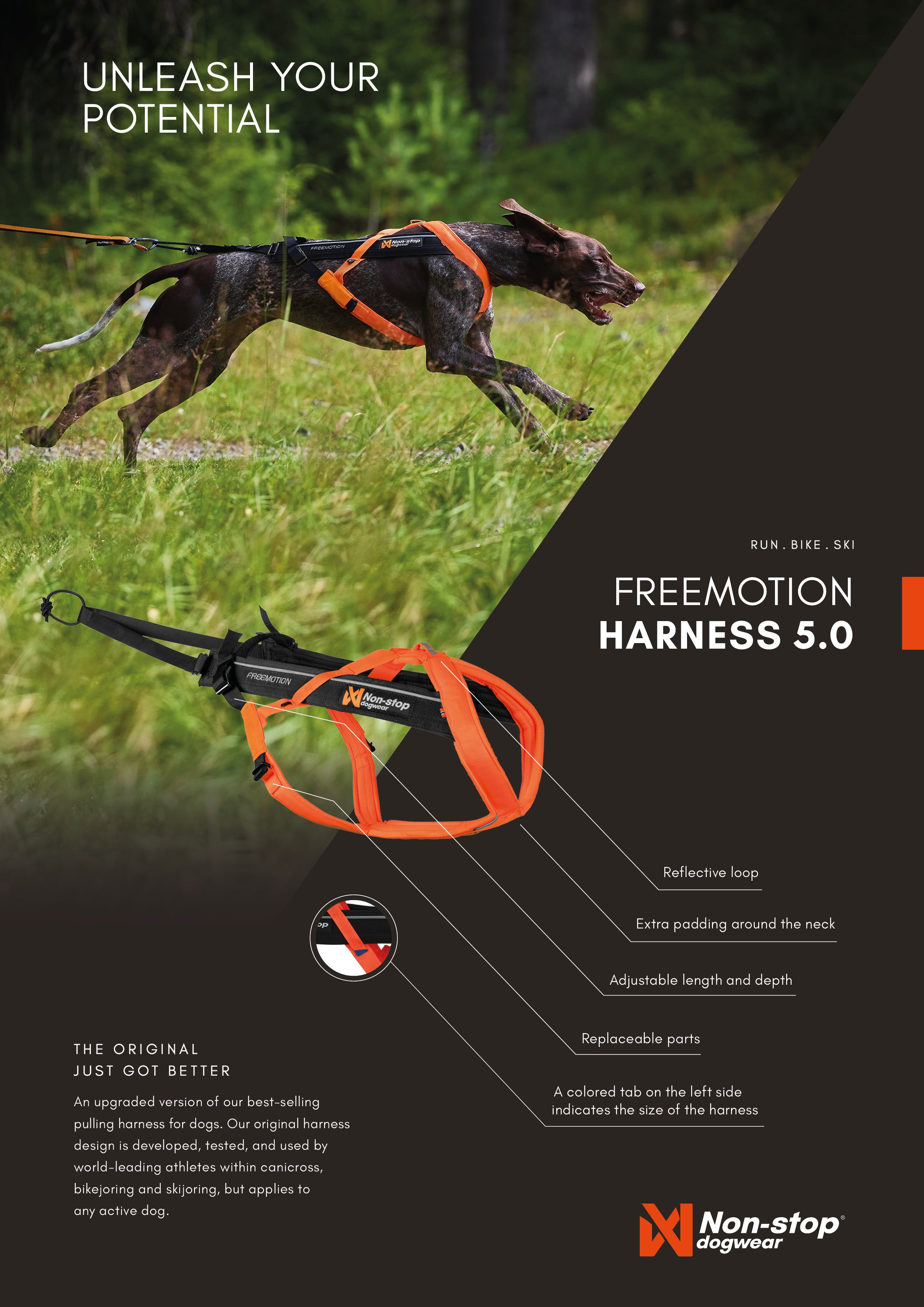 Non-Stop Dog Wear: Freemotion Harness 5.0