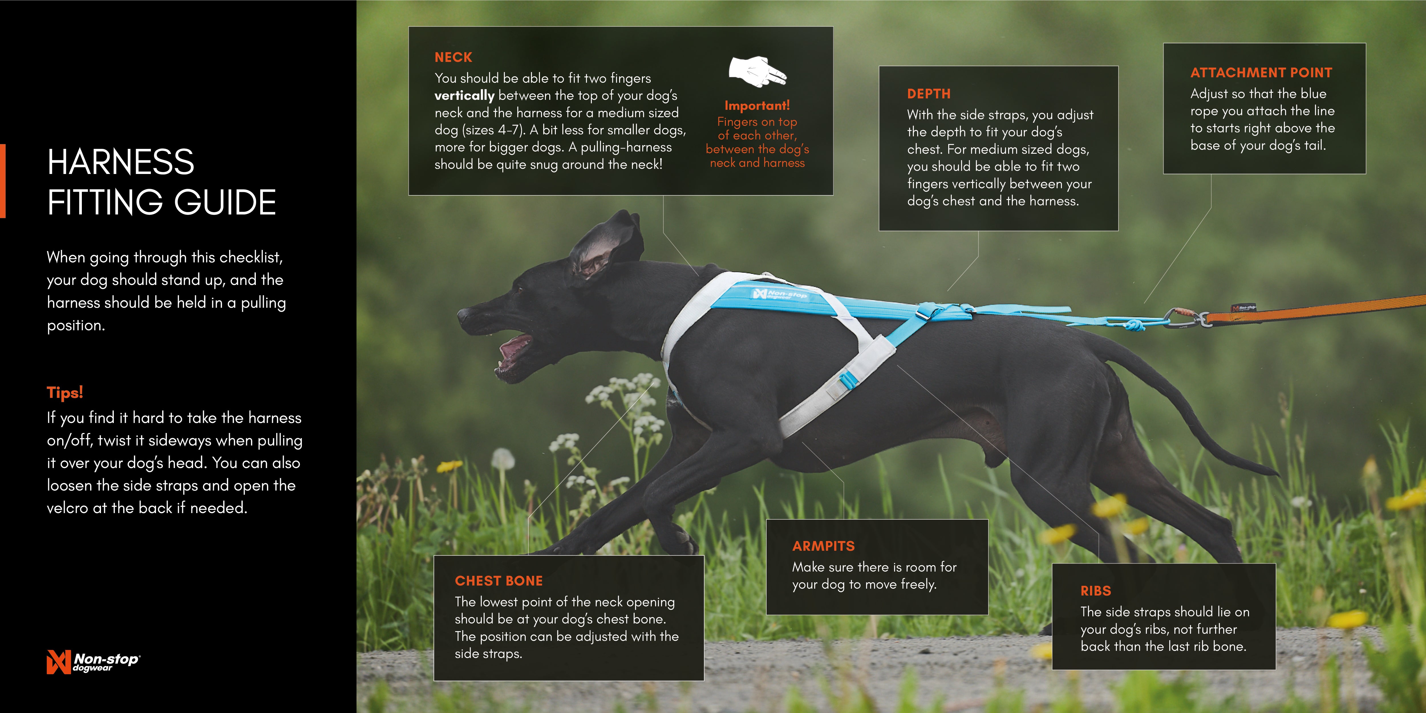 Non-Stop Dog Wear: Freemotion Harness 5.0