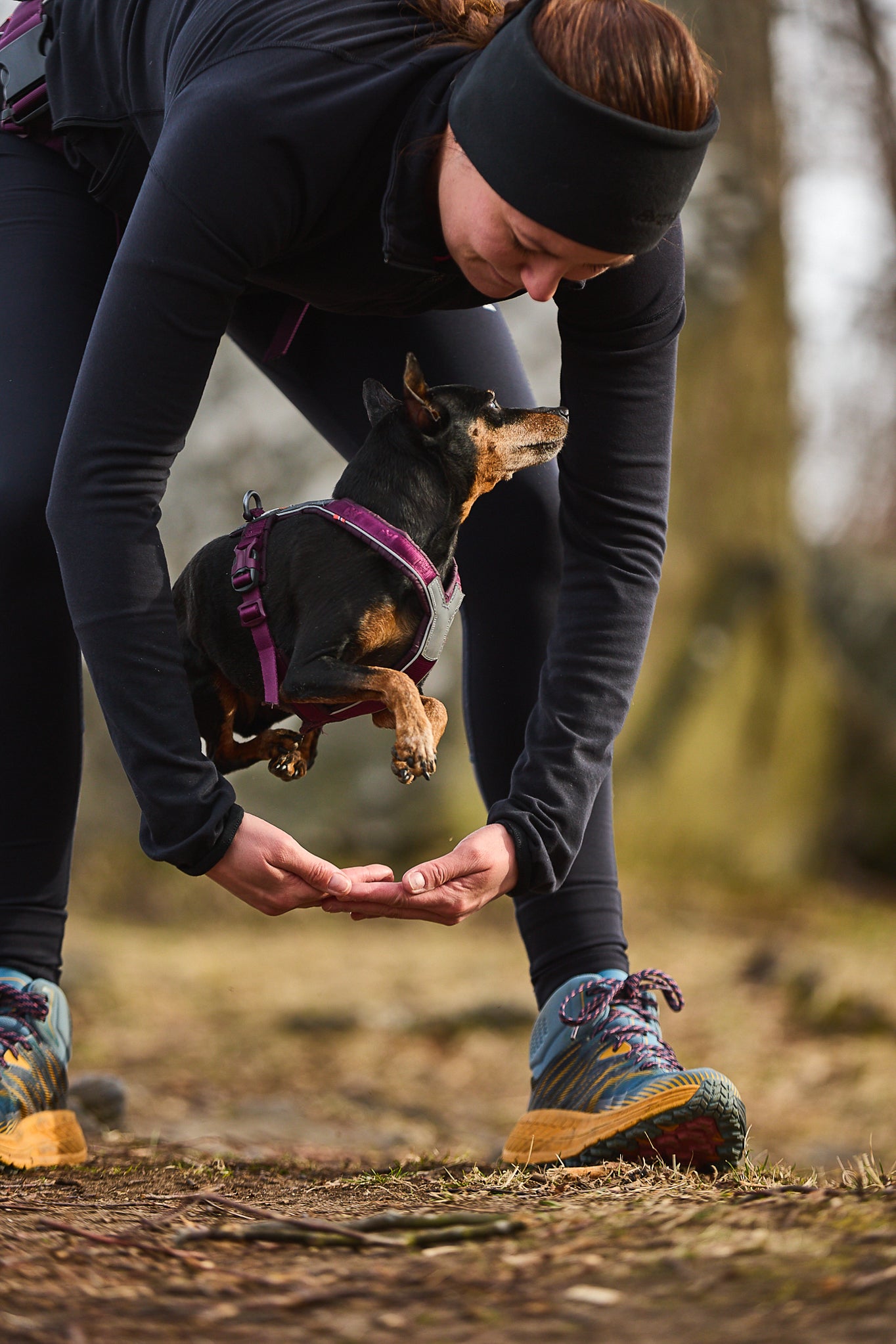 Non-Stop Dog Wear: Line Harness 5.0